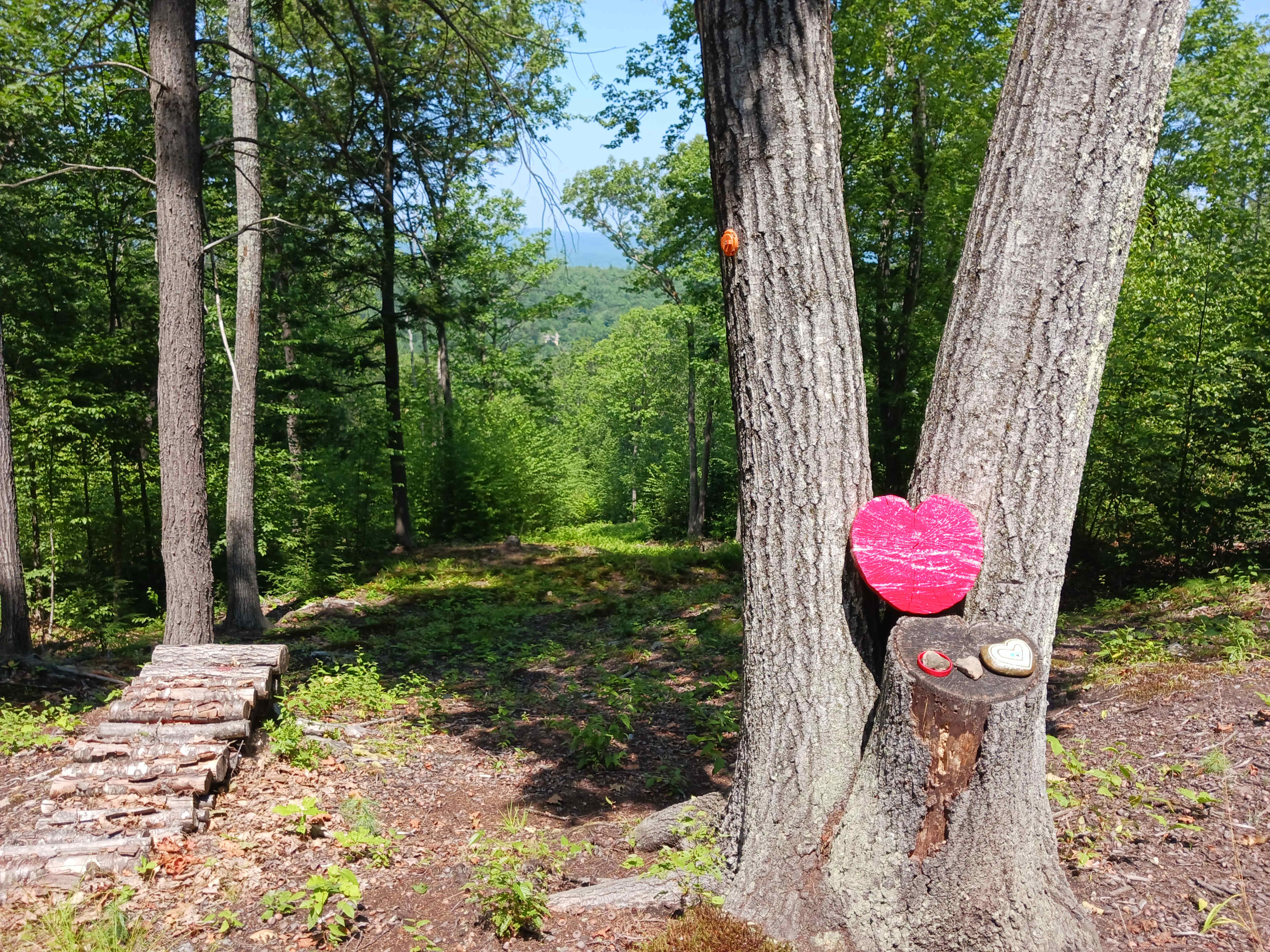 Heart Tree