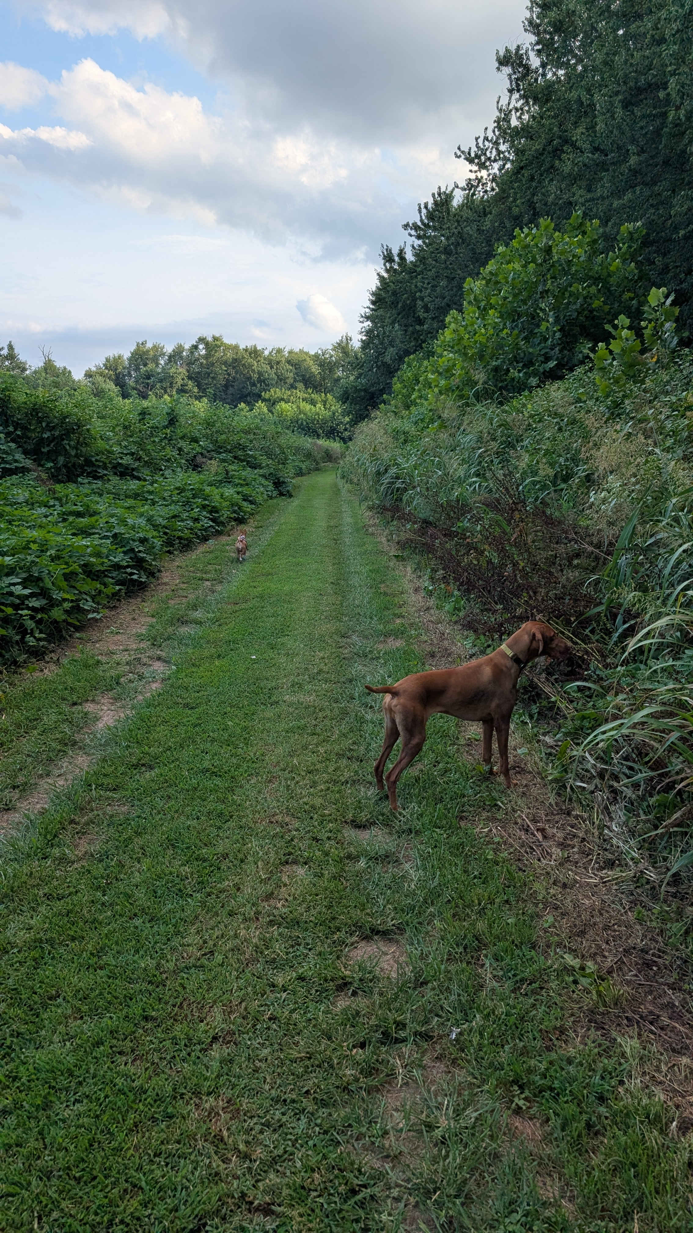 Riverside Farm by the Monocacy