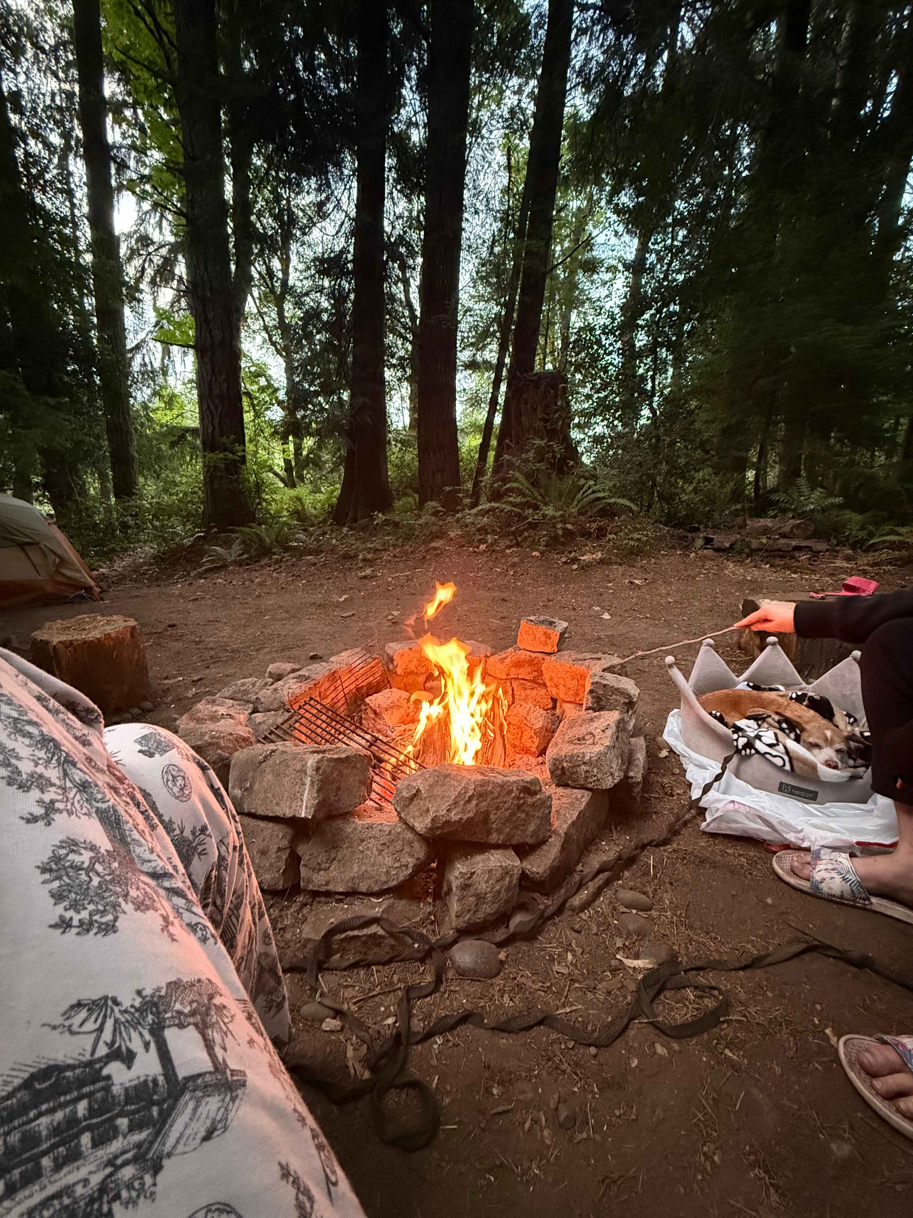 Curley Creek Canyon