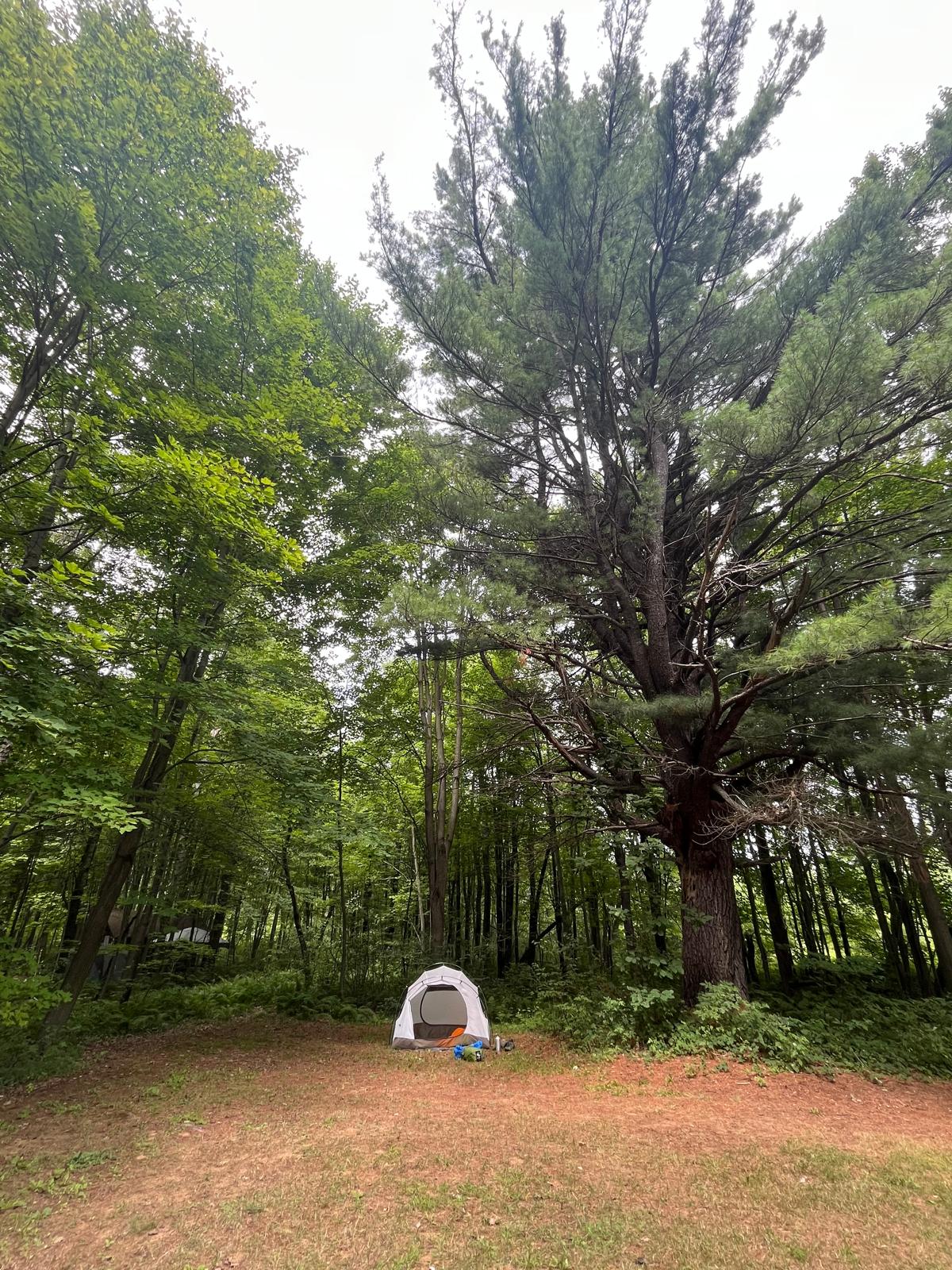 Whispering Pines - Curran, Ontario