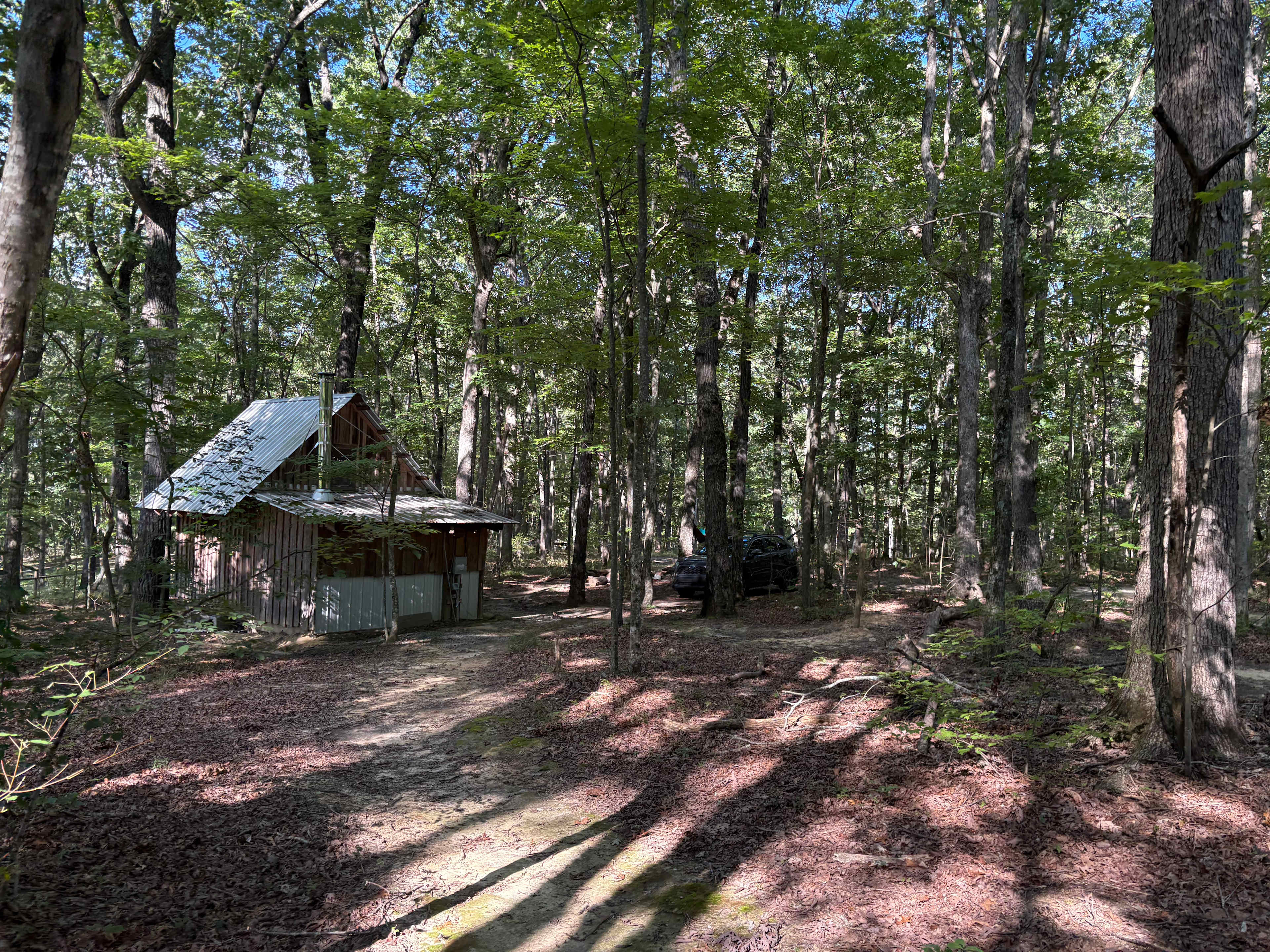 Cabin and Barn on 20 Peaceful Acres