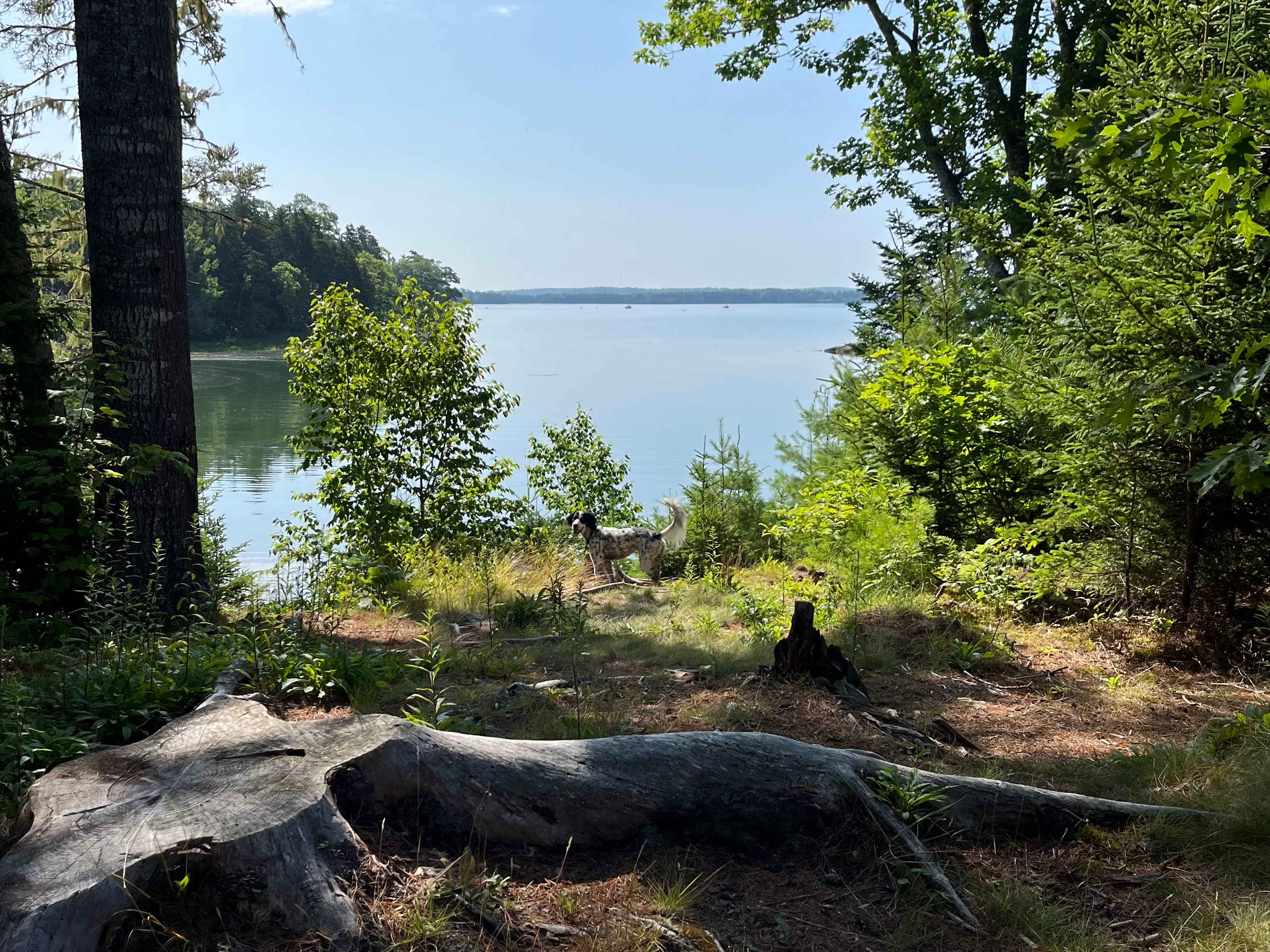 Eagle View Coastal Campground
