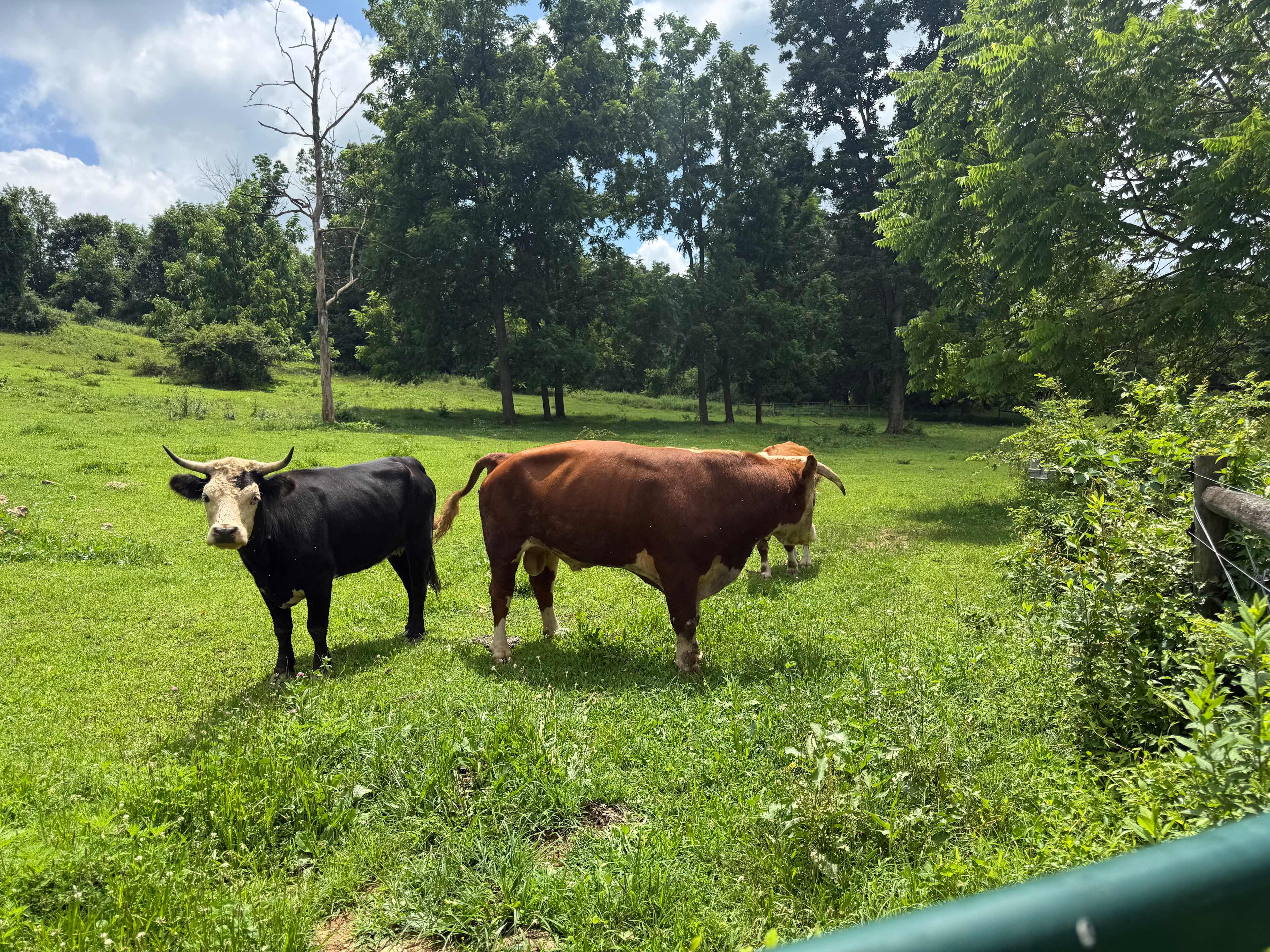 Private Farm