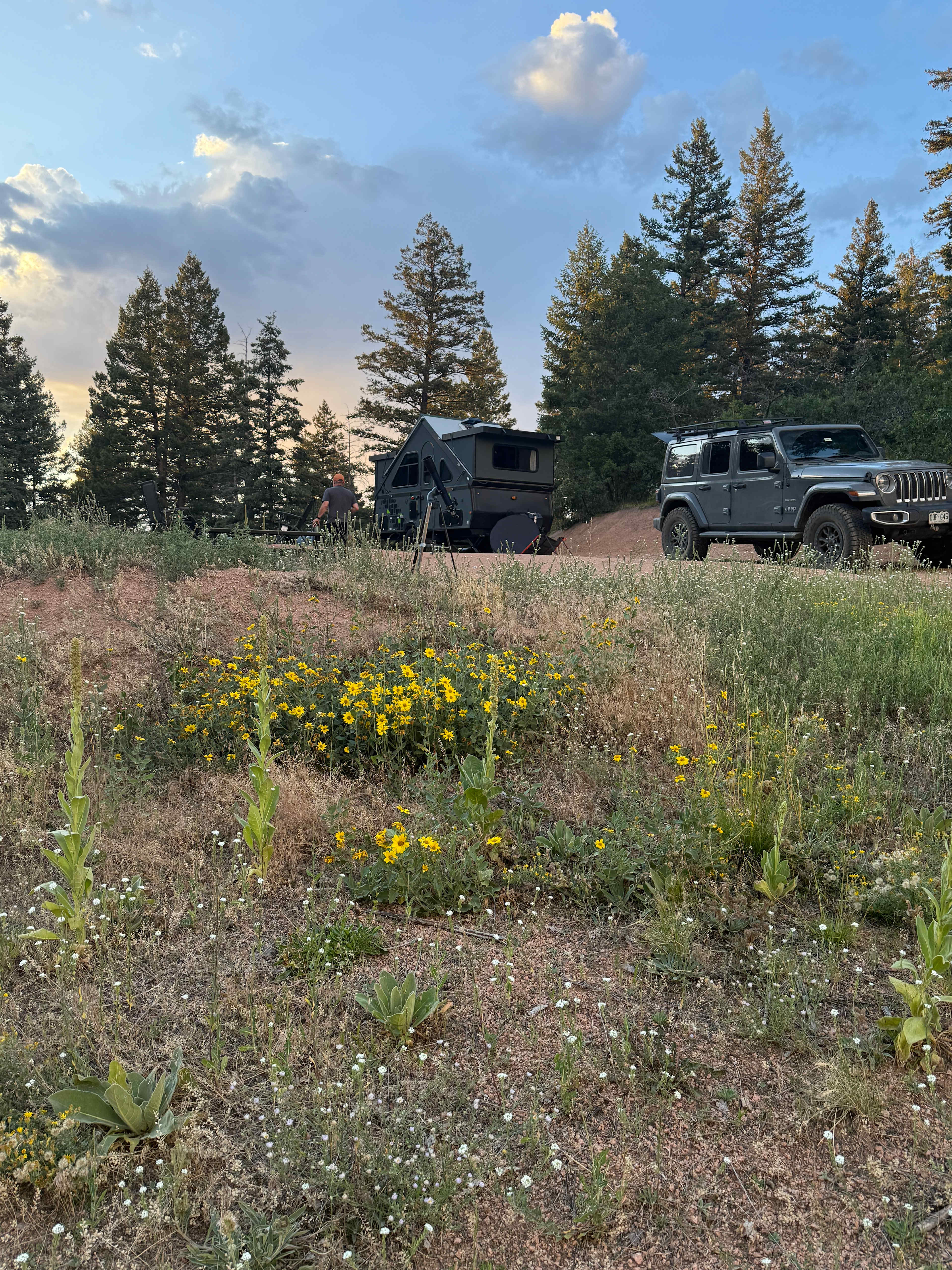 Perfect level spot for our pop up!