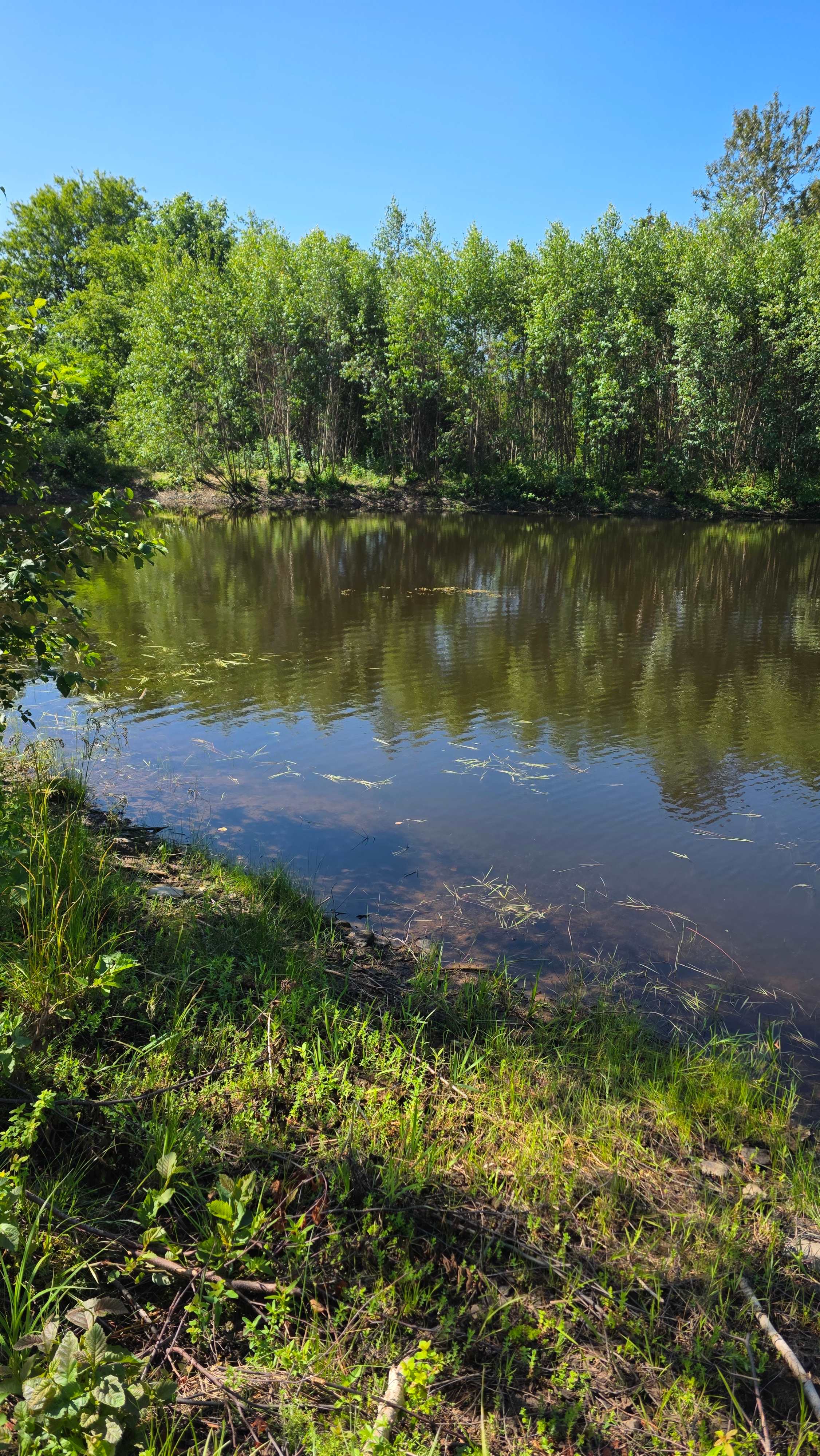 Wickham Nature Retreat