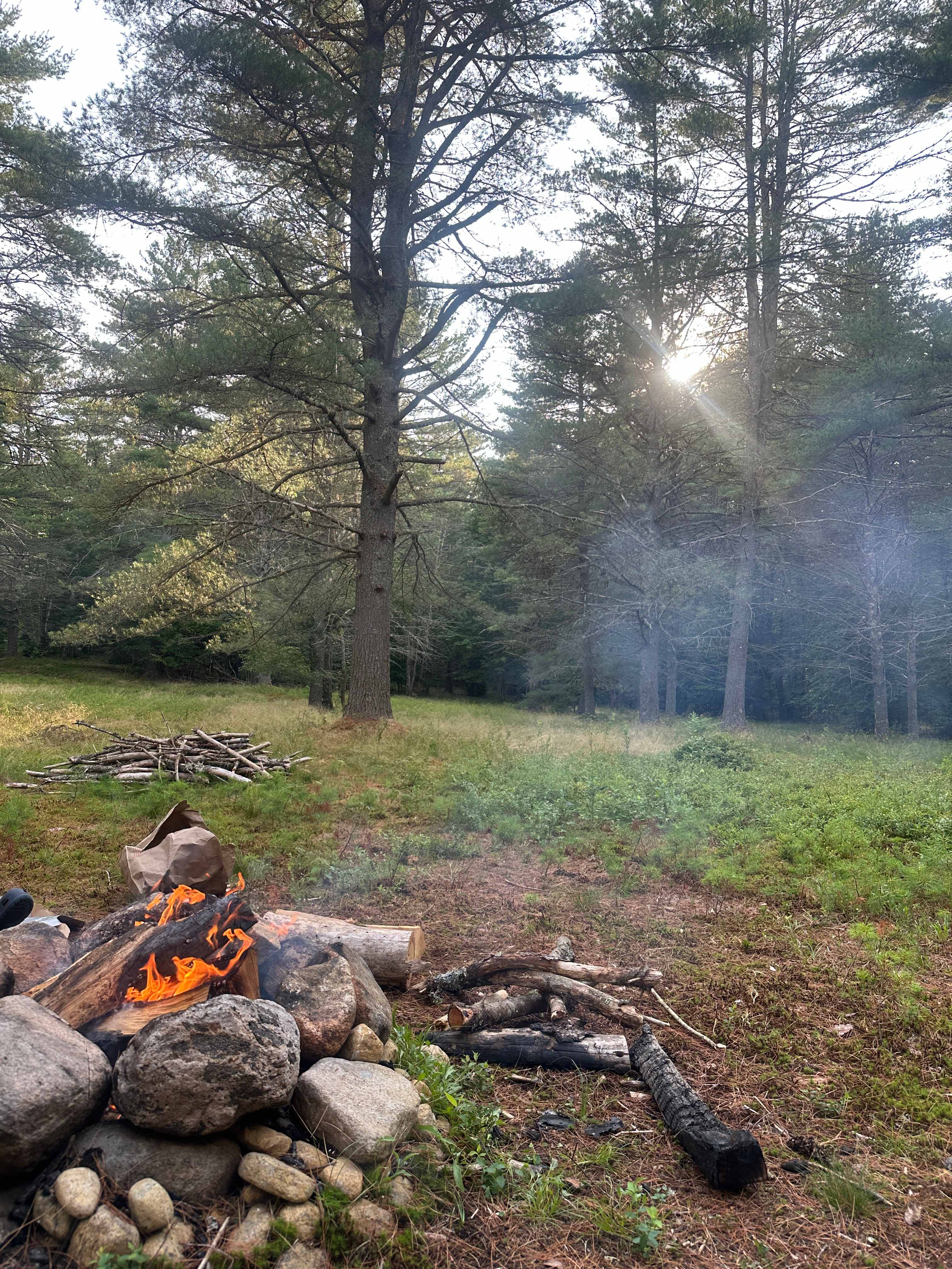 Whispering Pines Camp