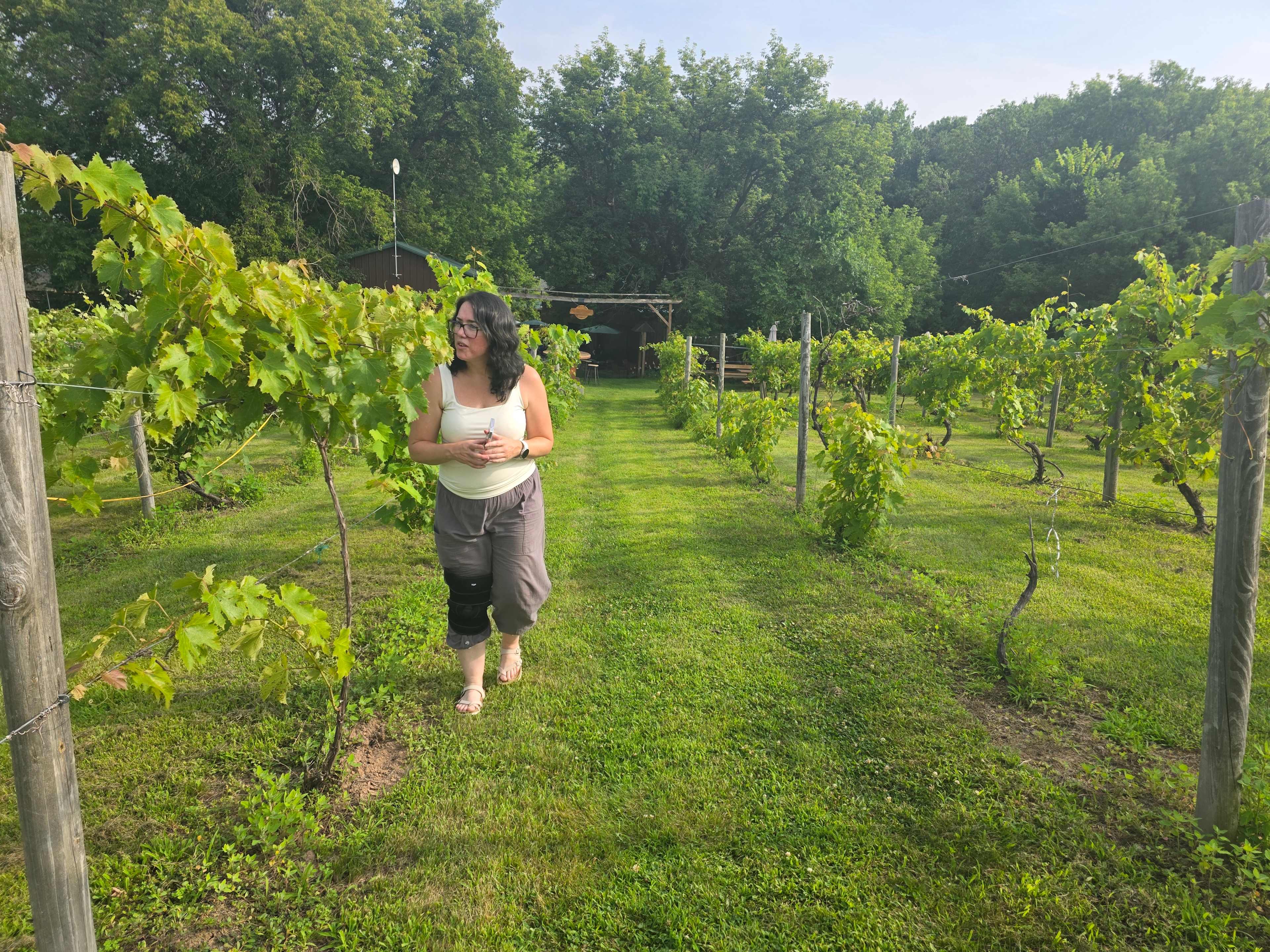 Wild Vines Campground