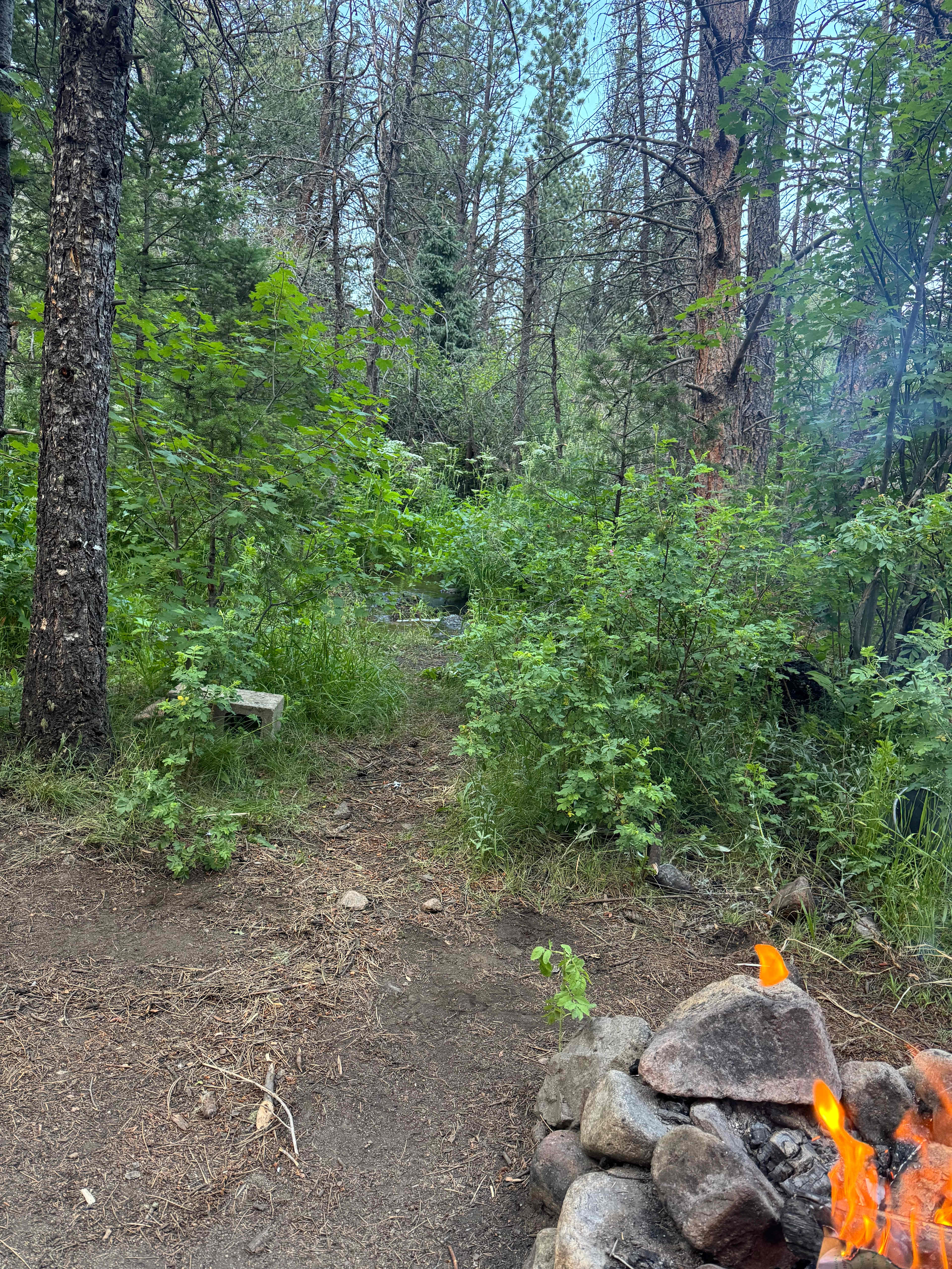 Creekside Paradise