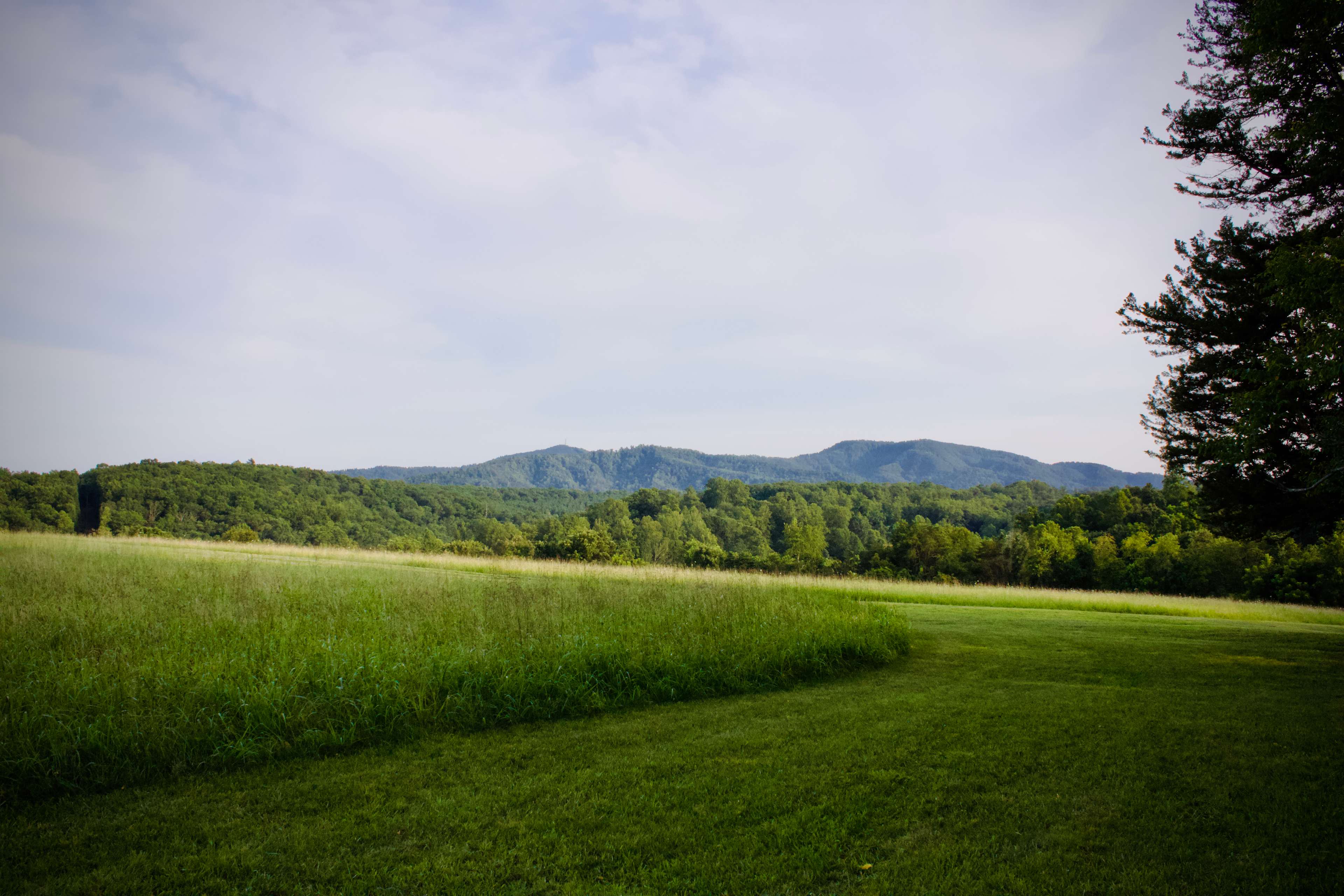 LongView Farm