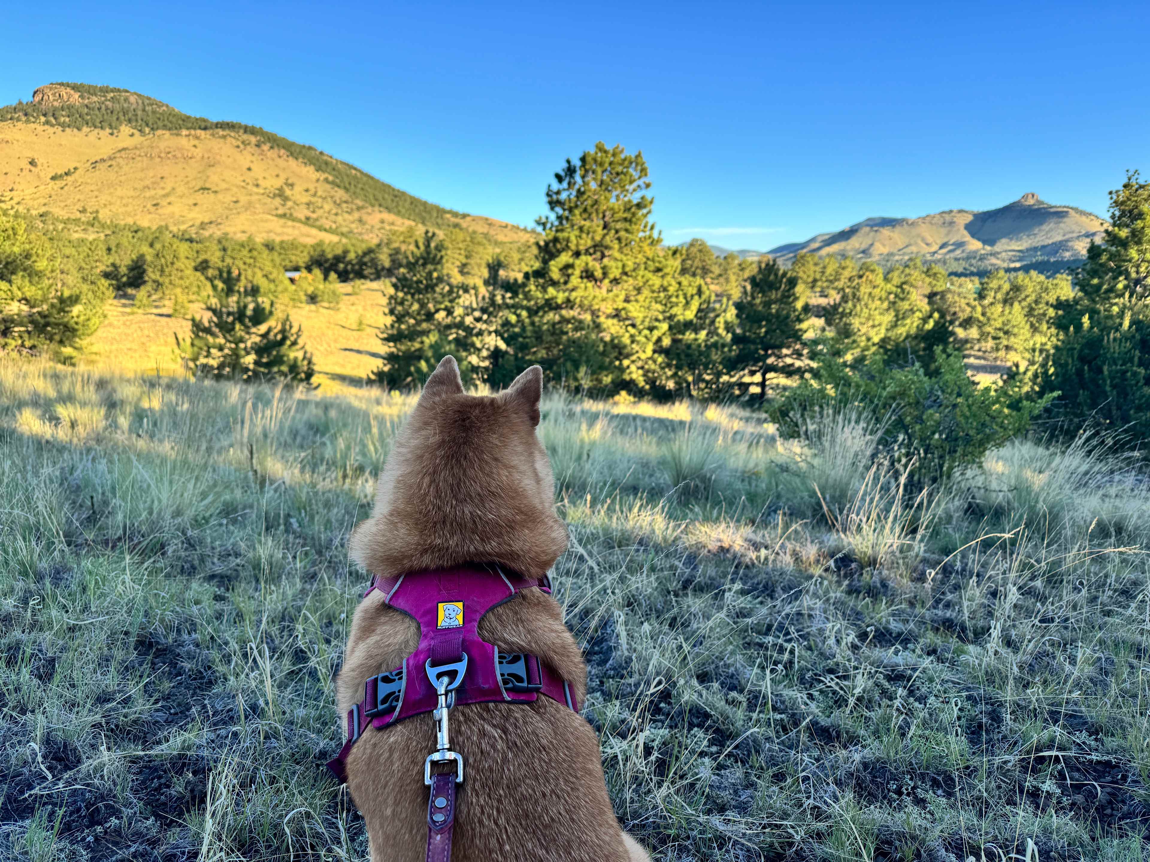 K-Bar Ranch