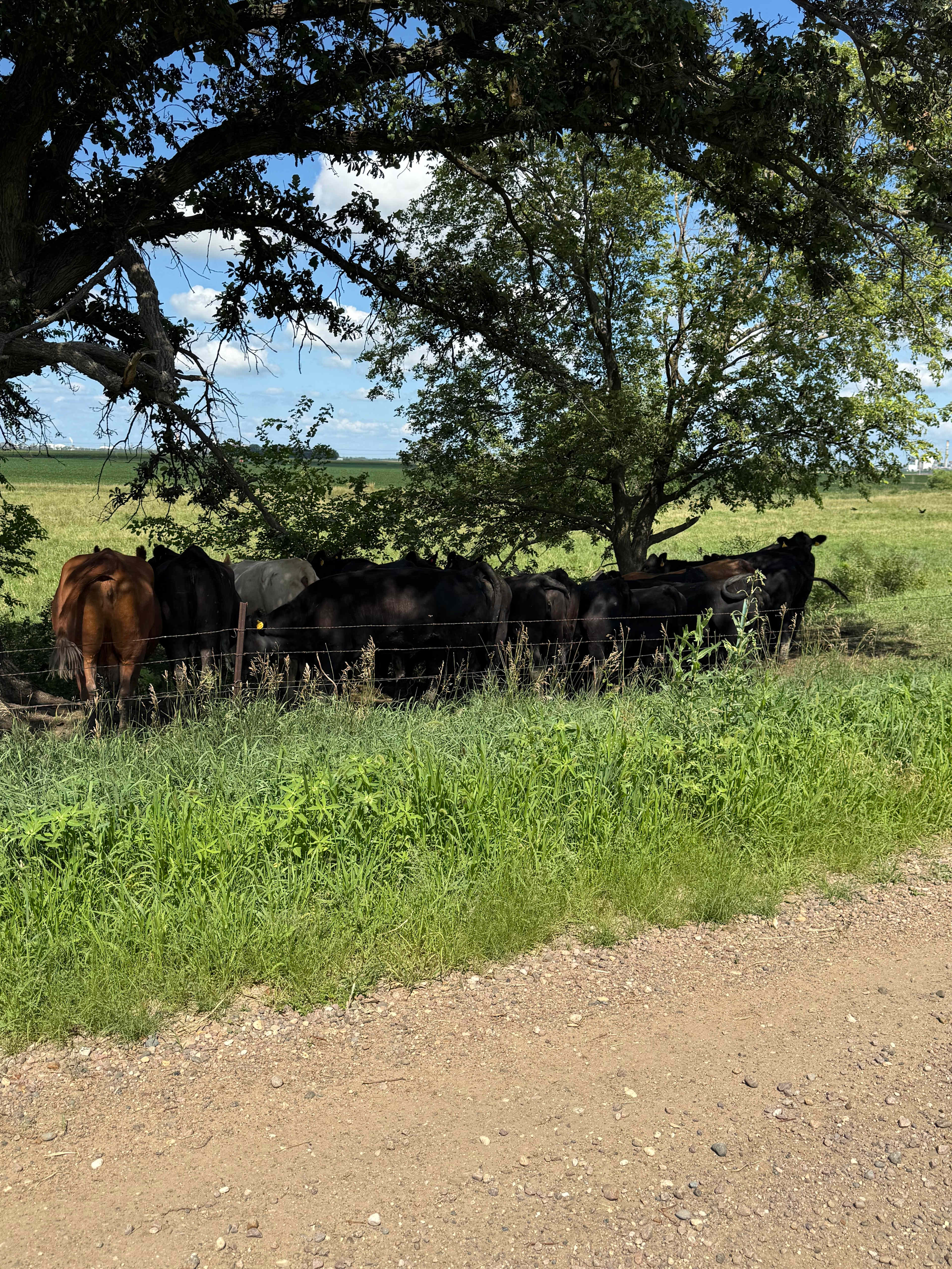 Arrowtree Campgrounds