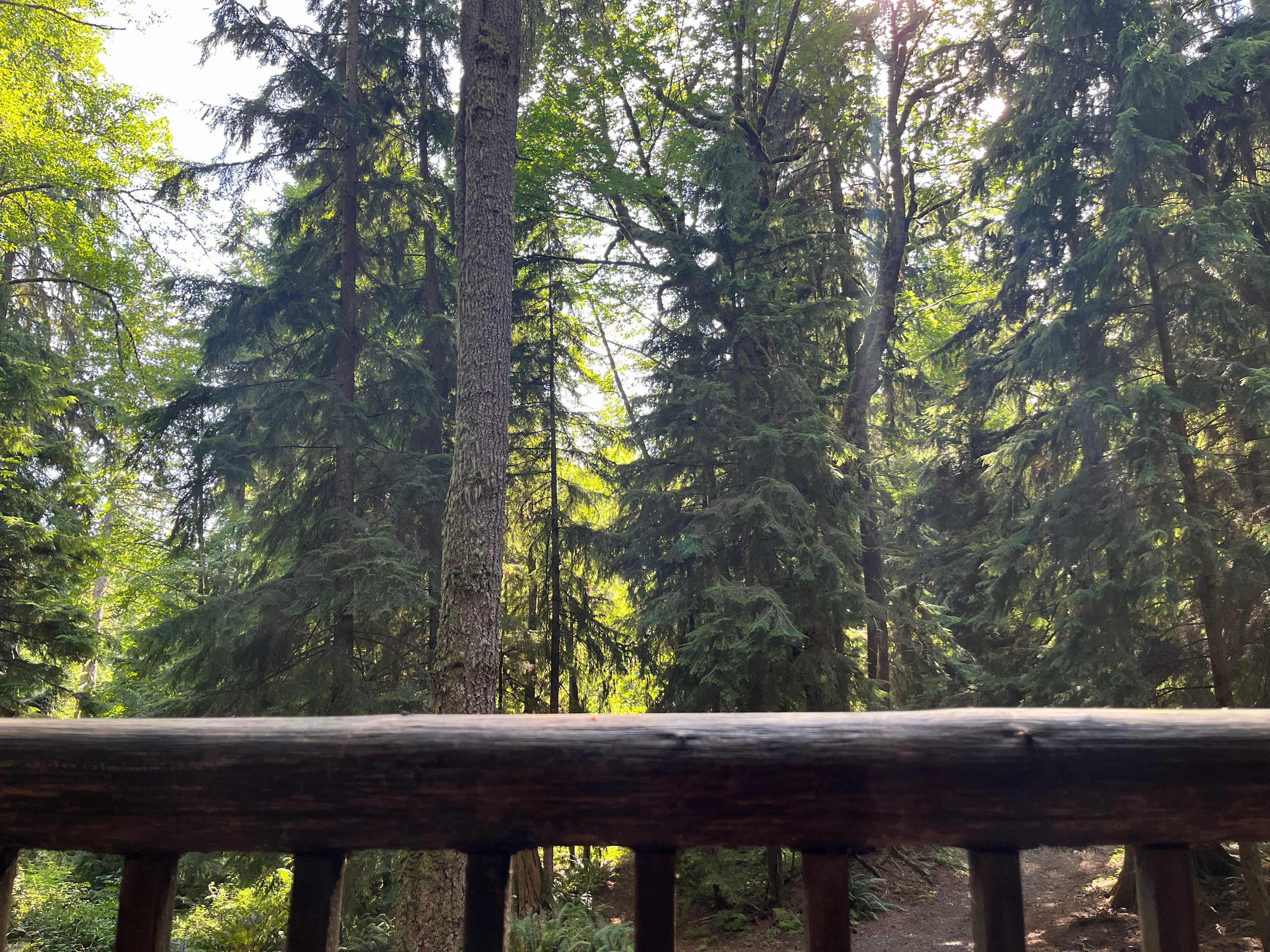 View from the deck 