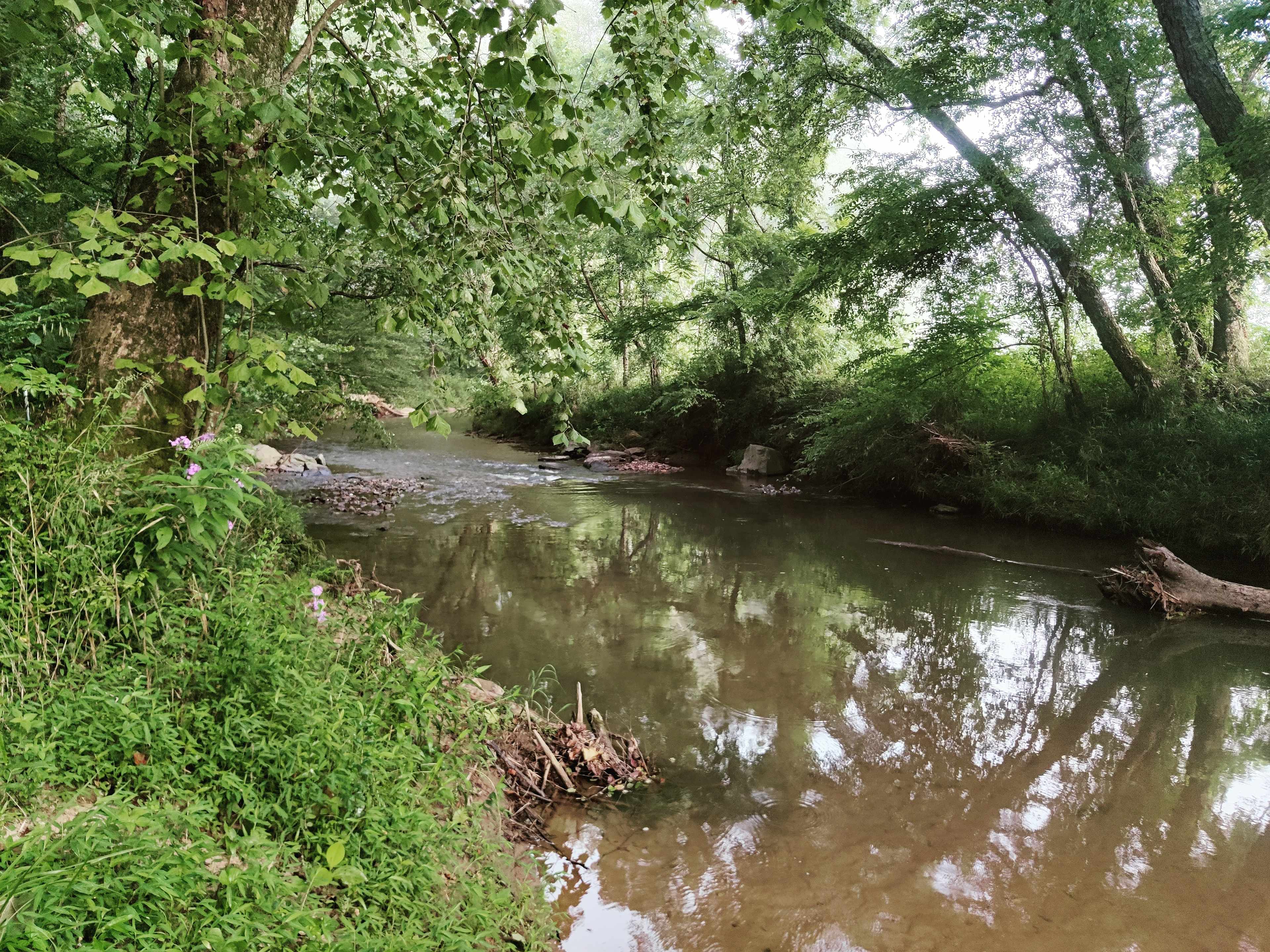 West Preserve