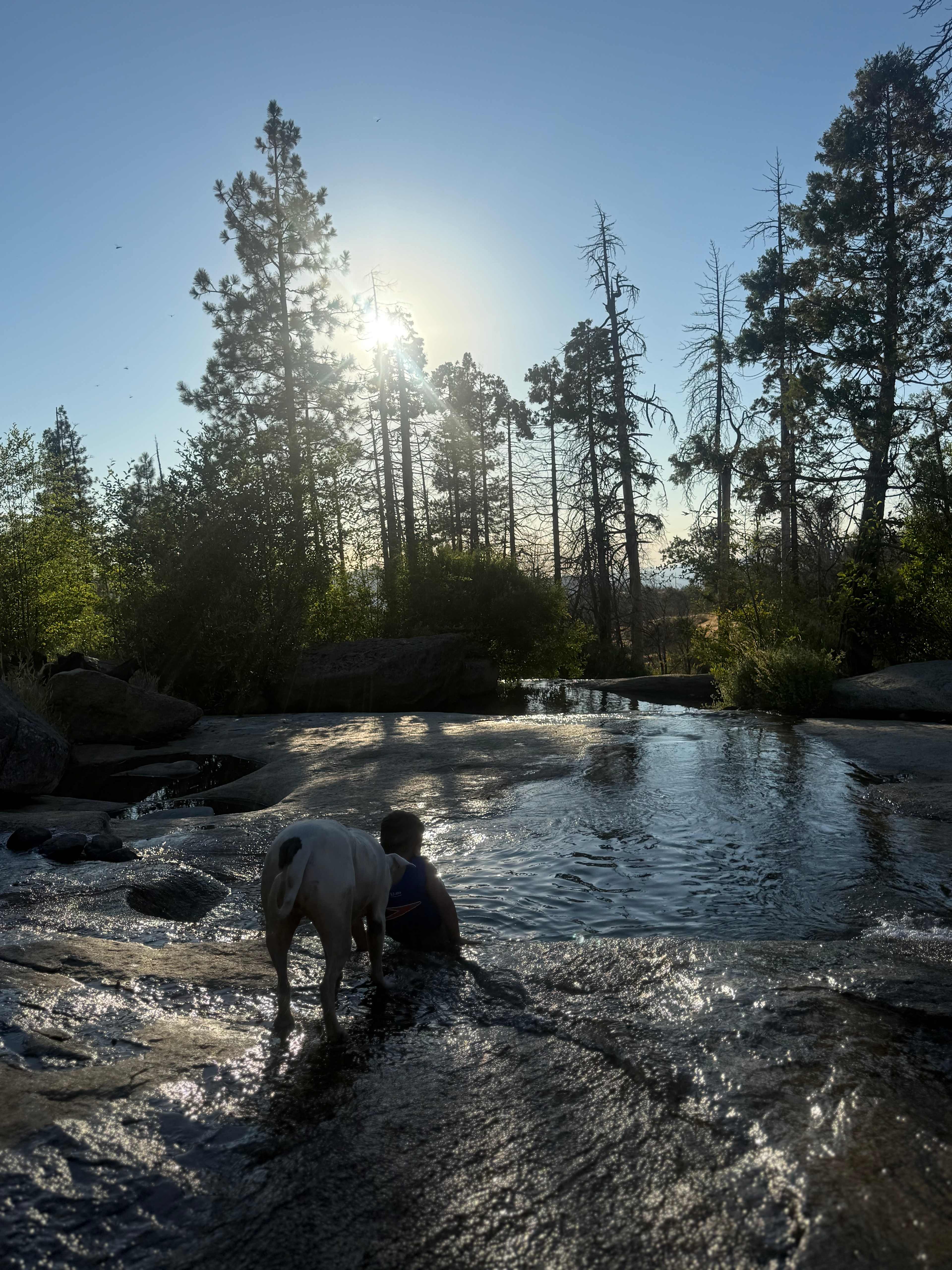 Musick Creek Falls
