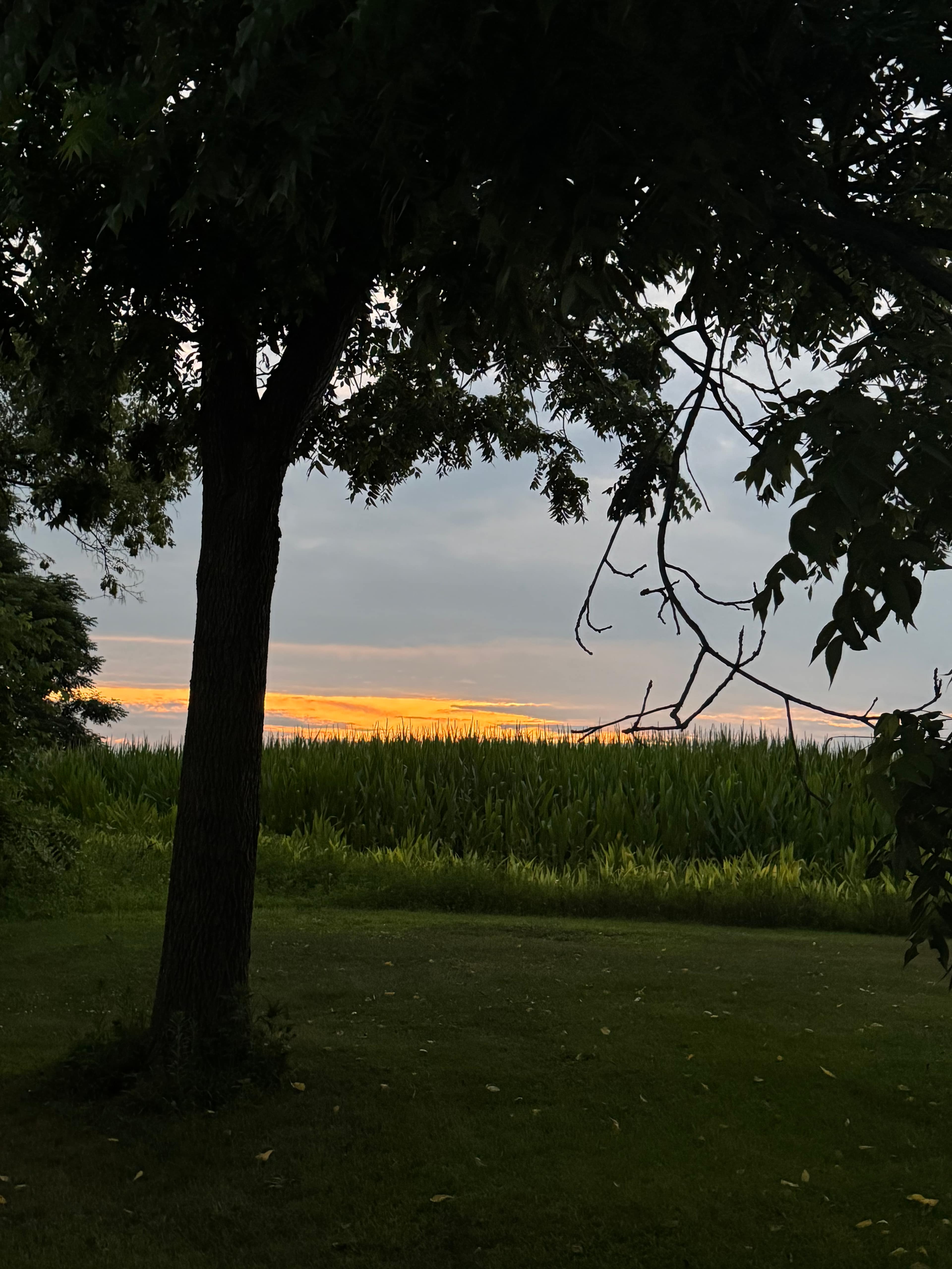 Amazing sunsets