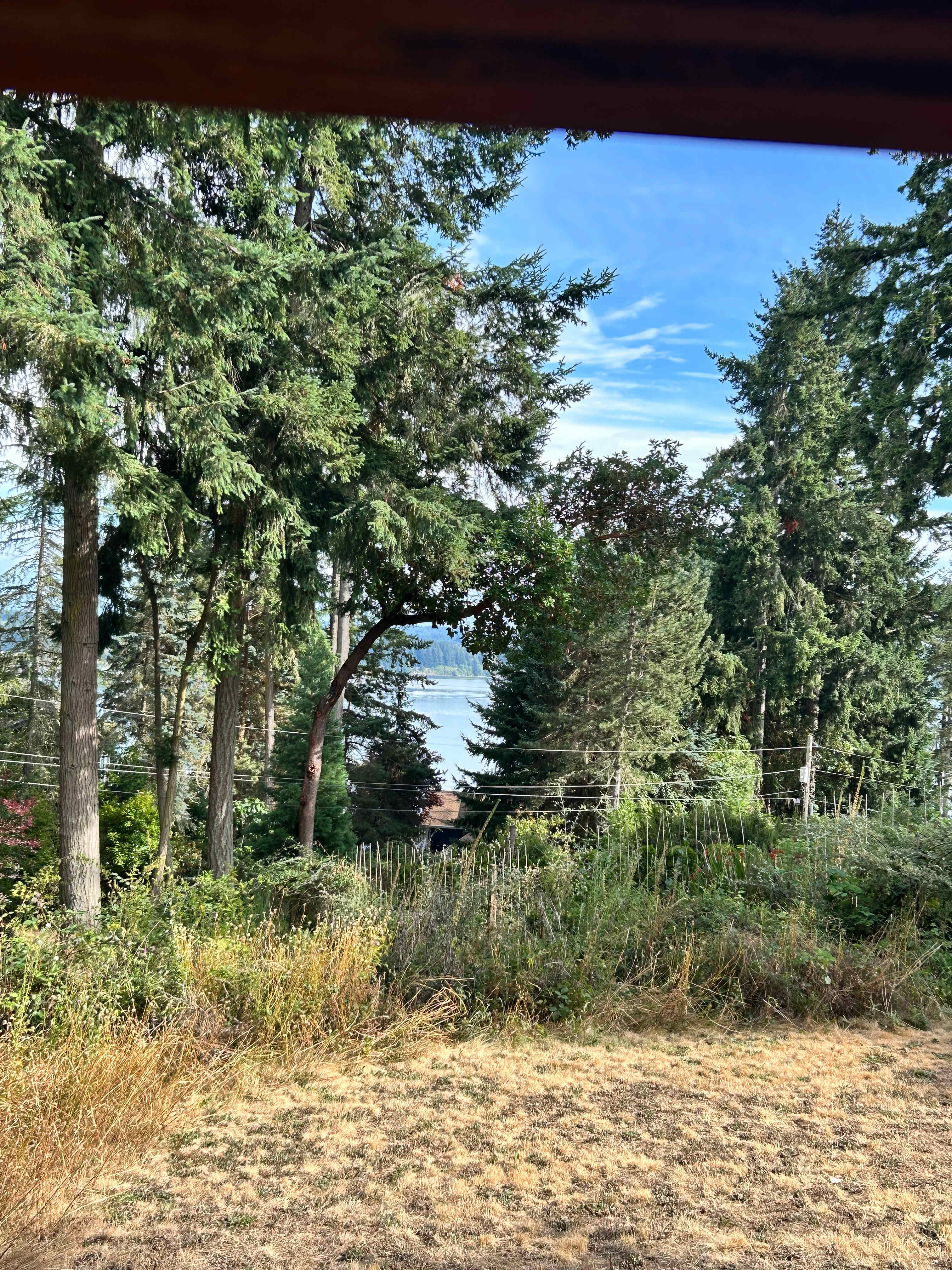 Cole's Cabin on Anderson Island