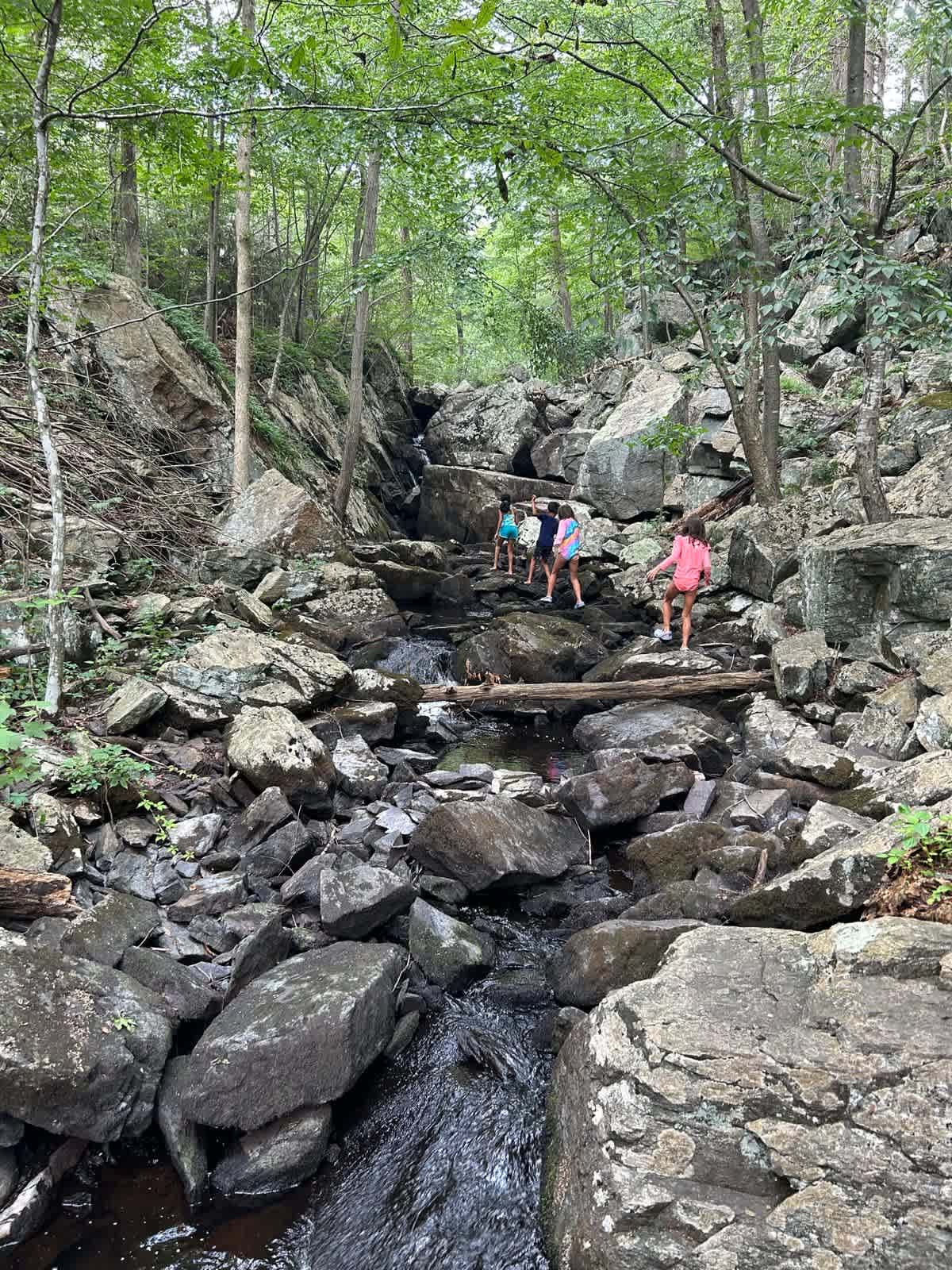 The stream was so refreshing ! 