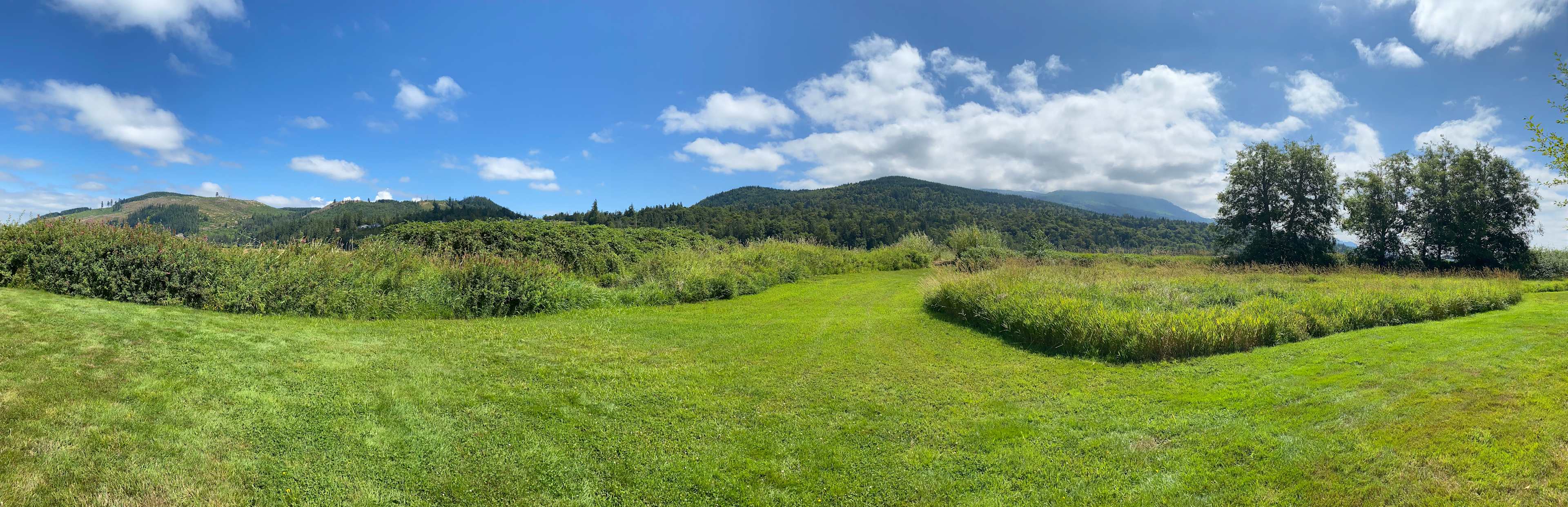 Beaver Meadow