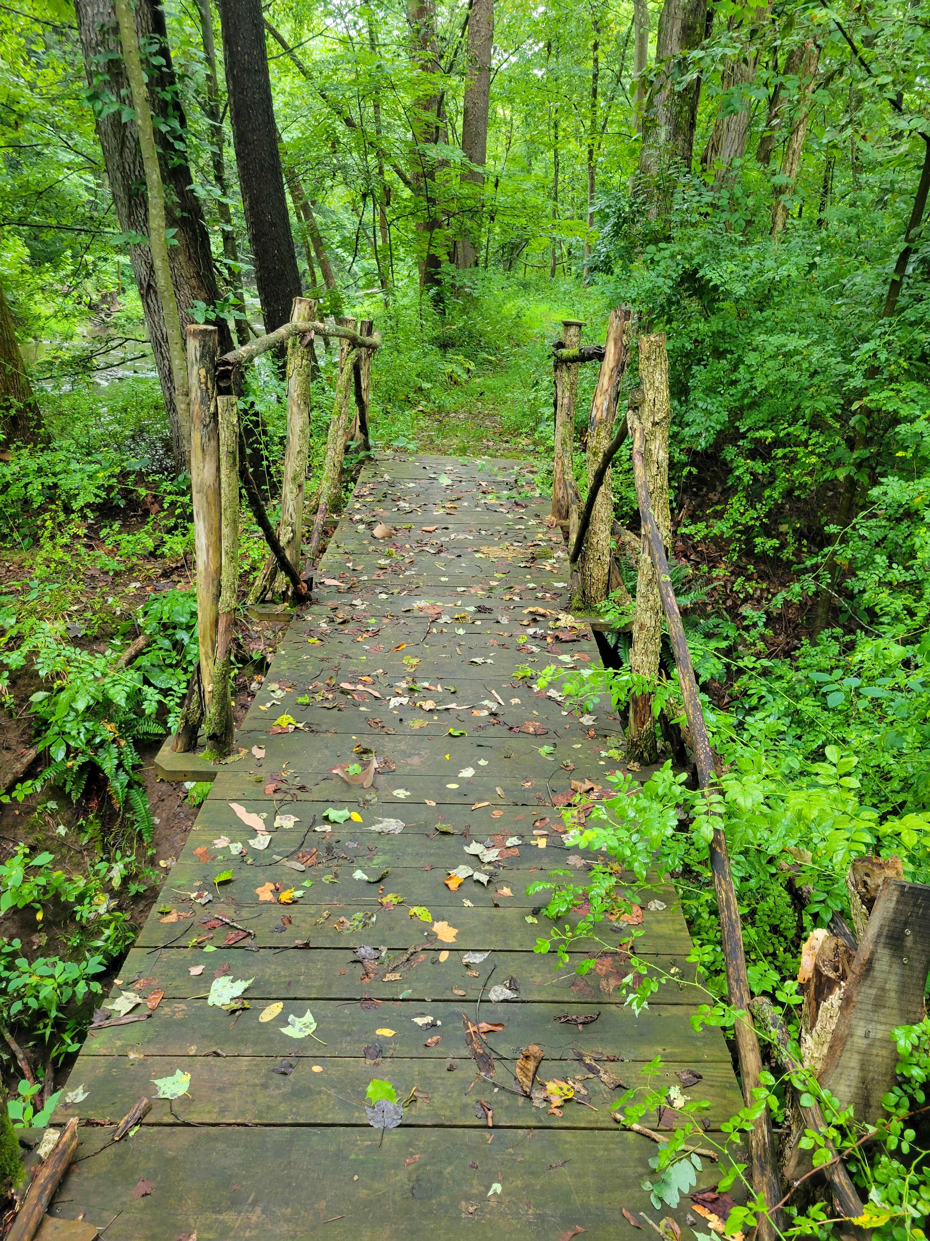 Bridge on walking trail 