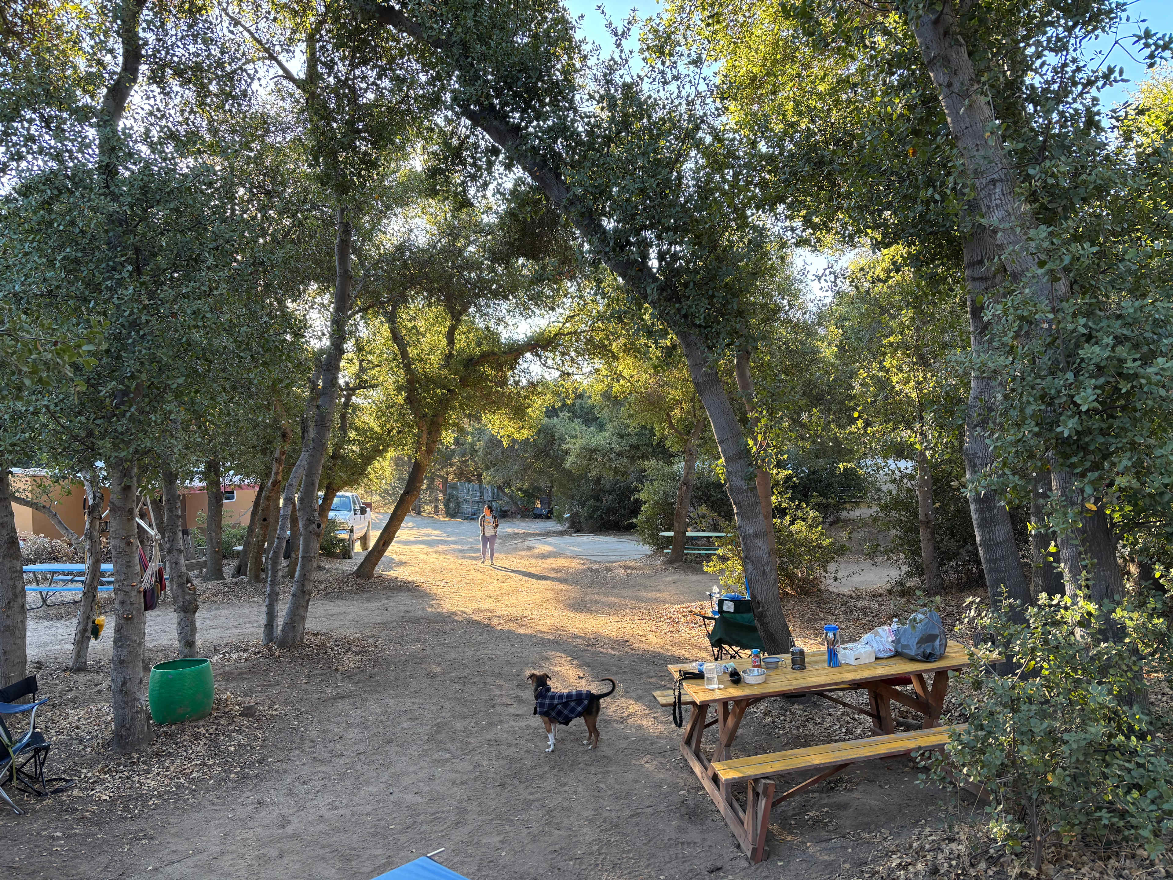 ArtFarm Movie Ranch & Nomad NeXuS