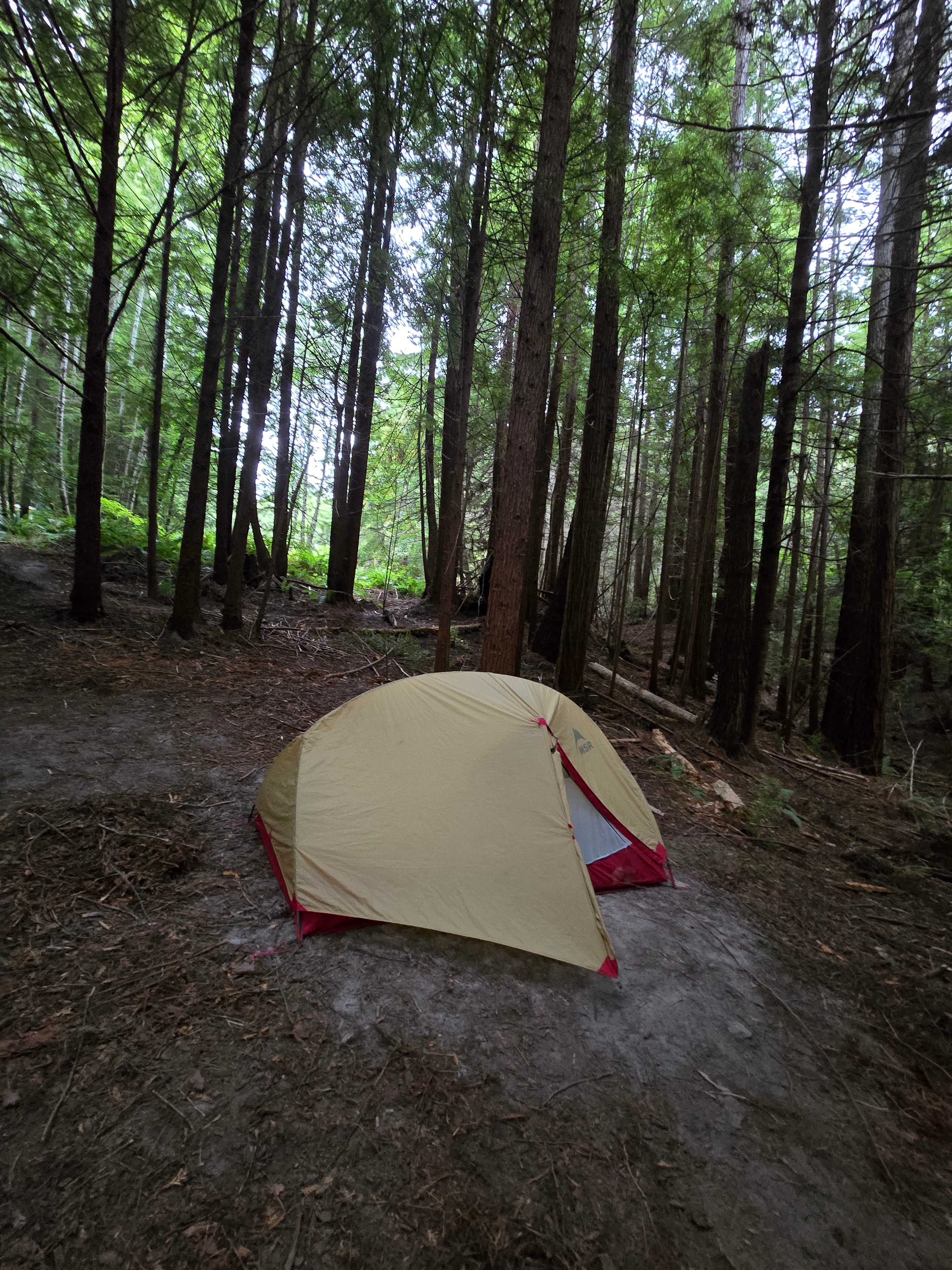 Bigfoot’s Coastal Hideaway