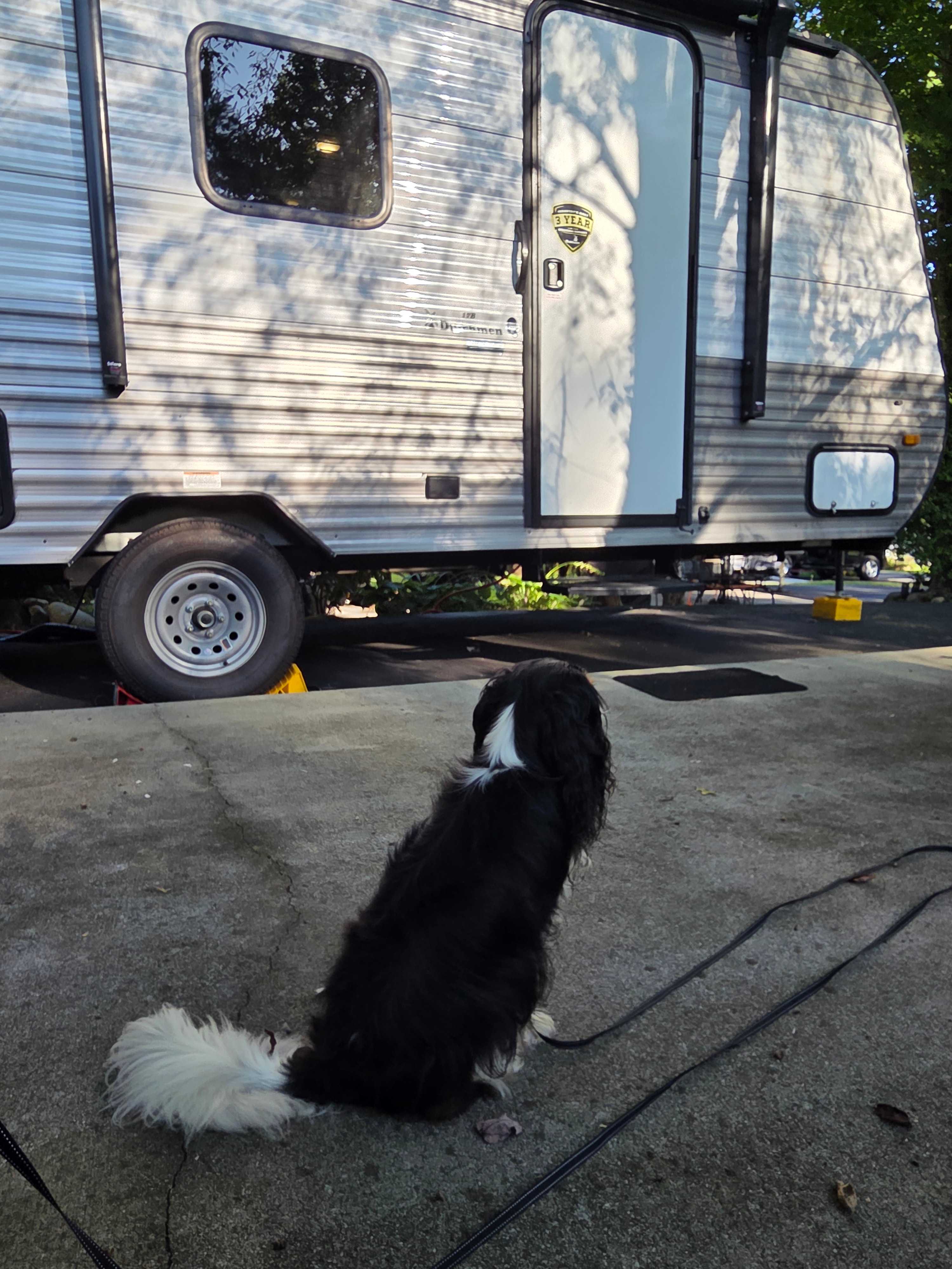 Gatlinburg Vibes RV Camping