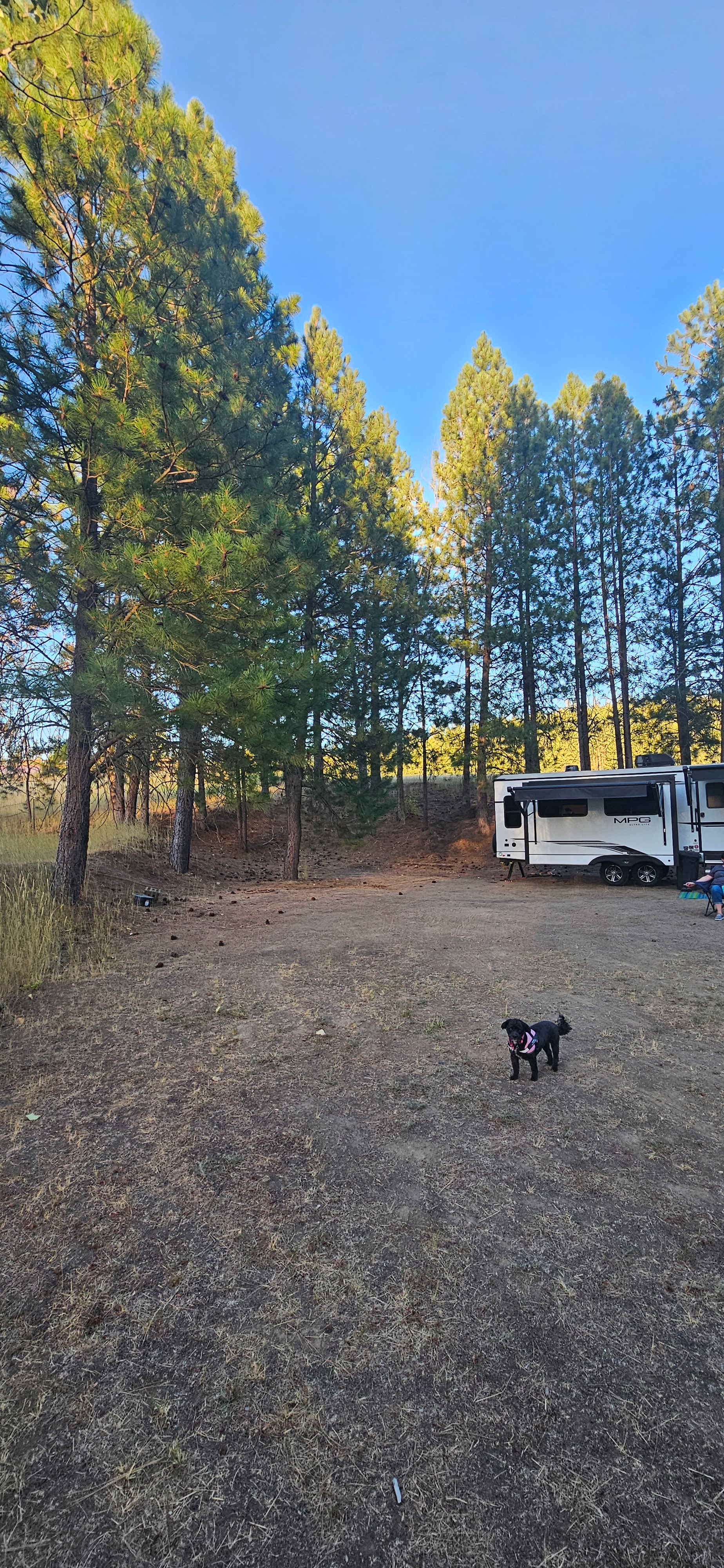 Coyote Flats