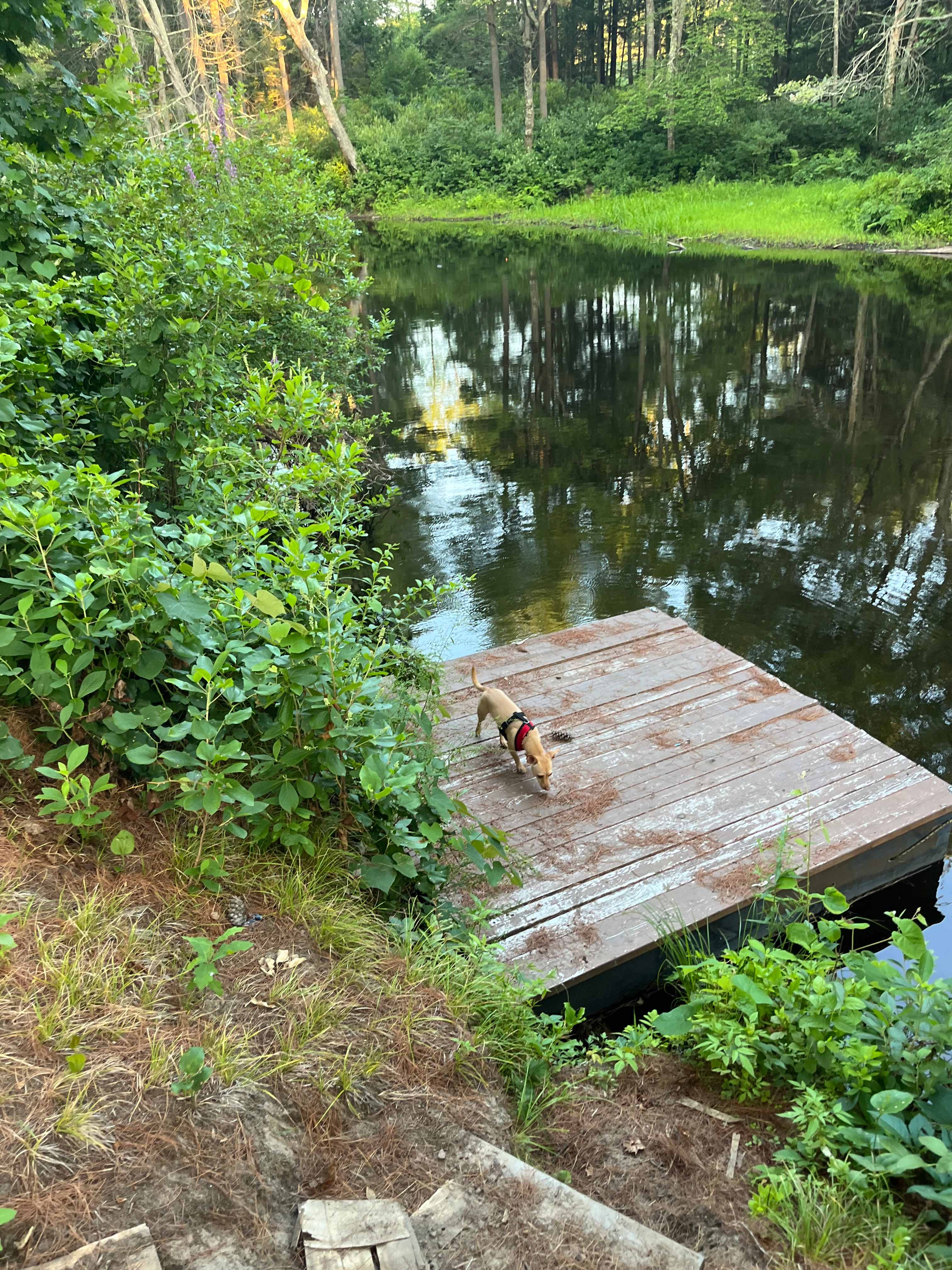 Happy little river launch