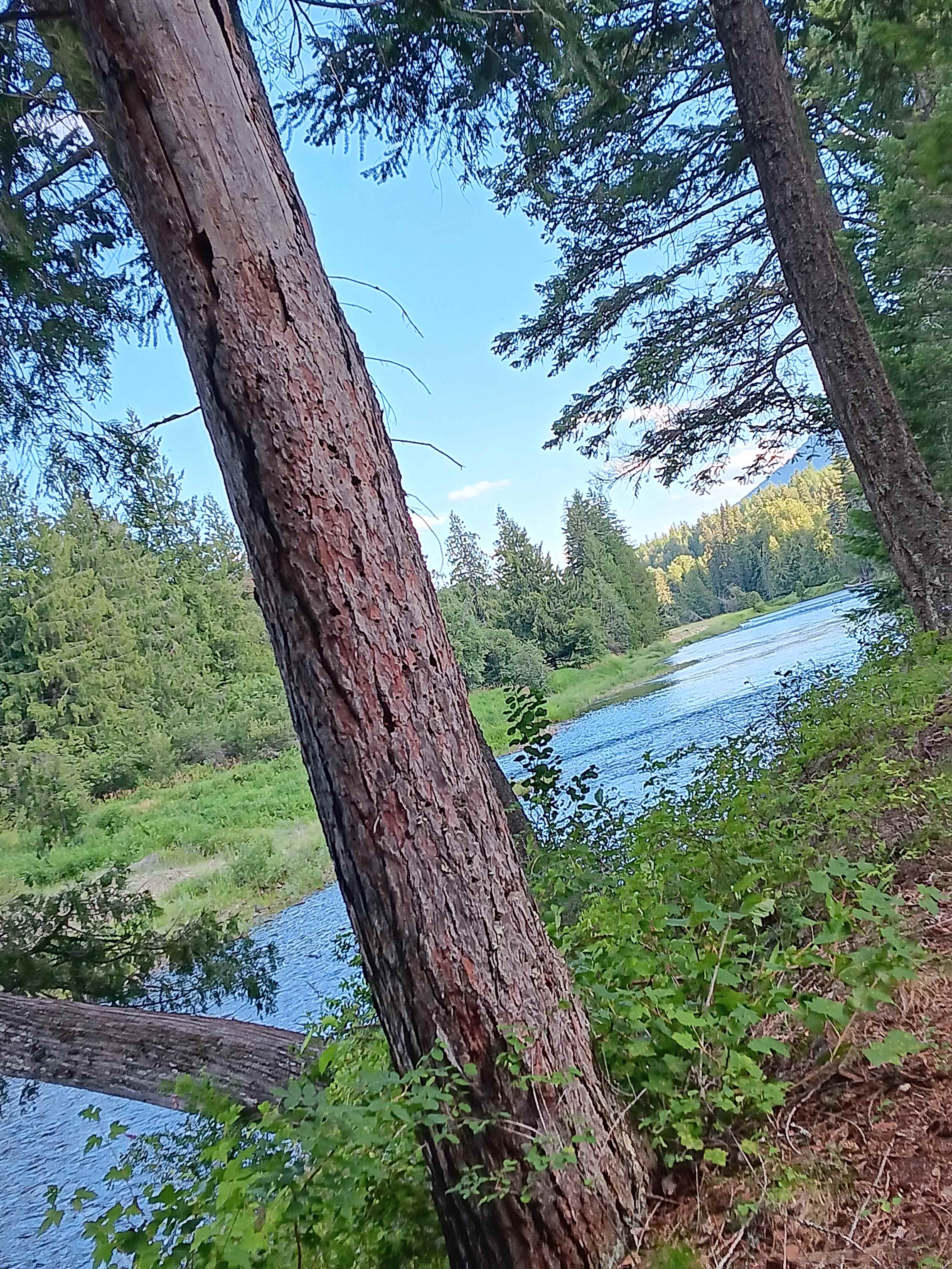 ALMOST TO CANADA - FAR NORTH IDAHO
