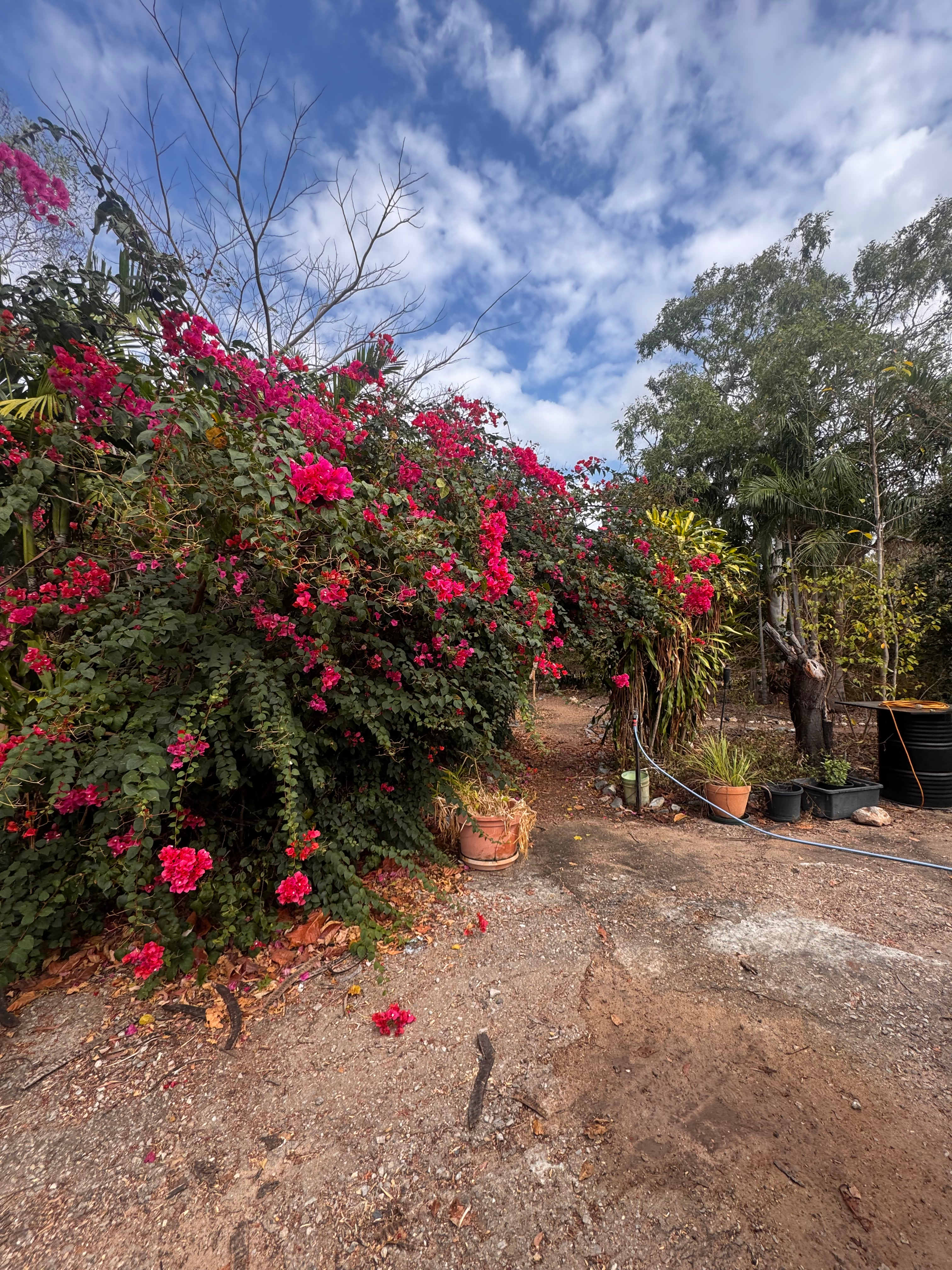 Our site was gorg!