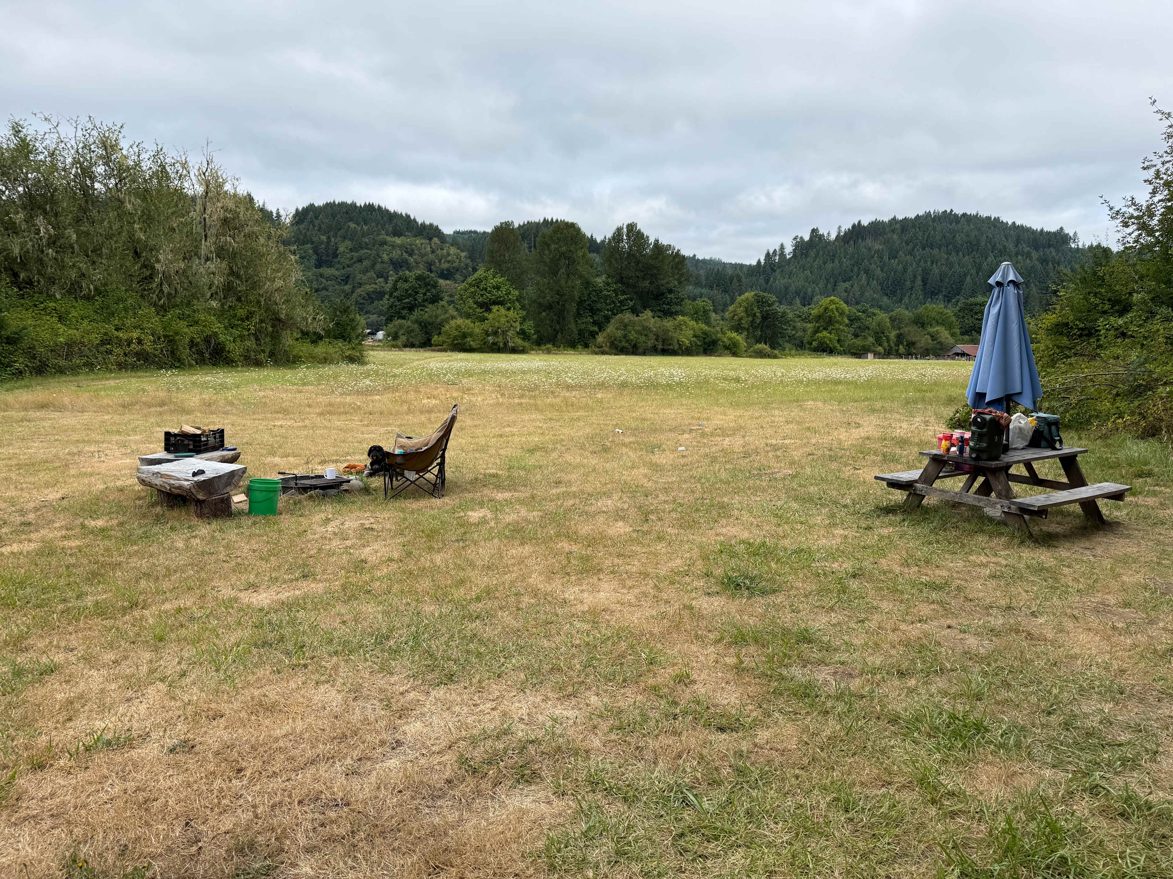 Squared Roots Farm Yurt