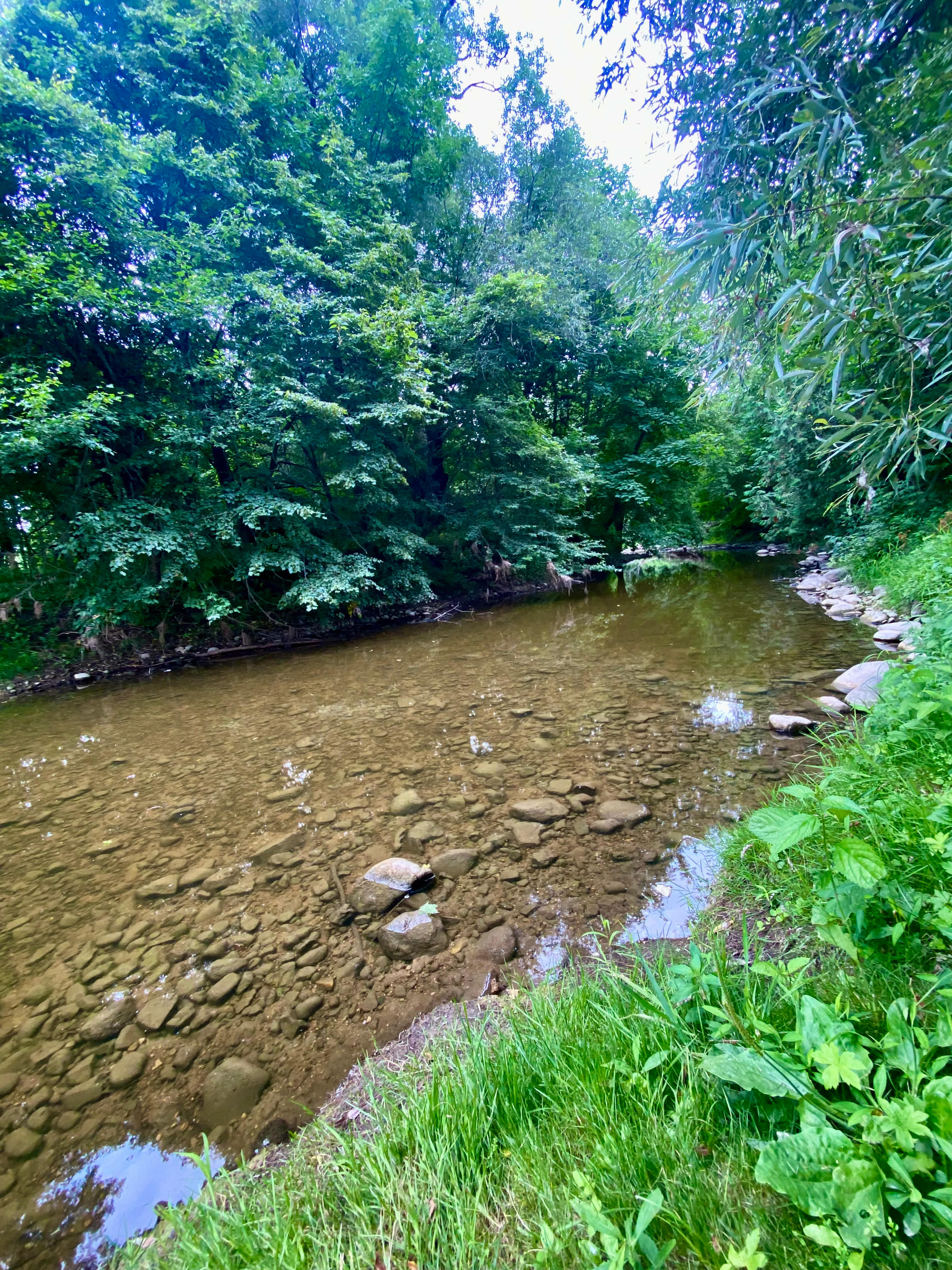 Shallow but clear river.