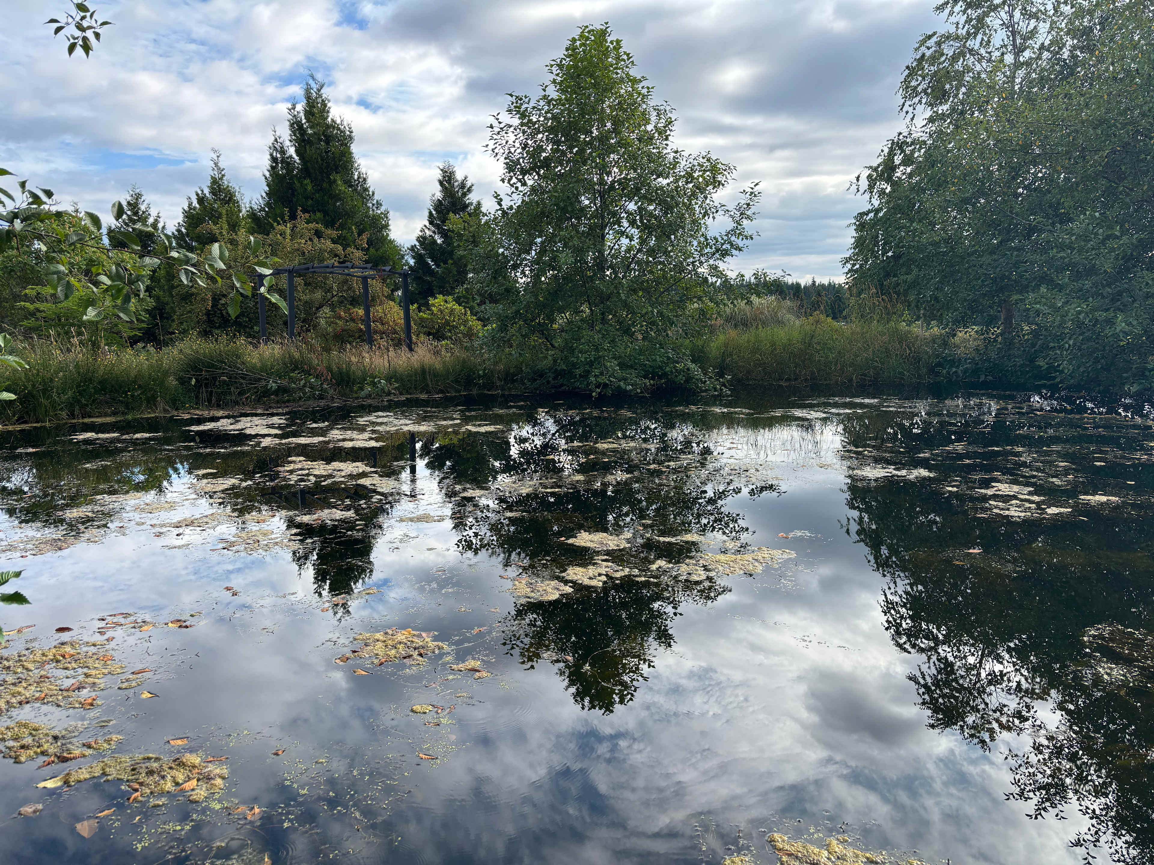 The Arboretum at Bear Canyon West
