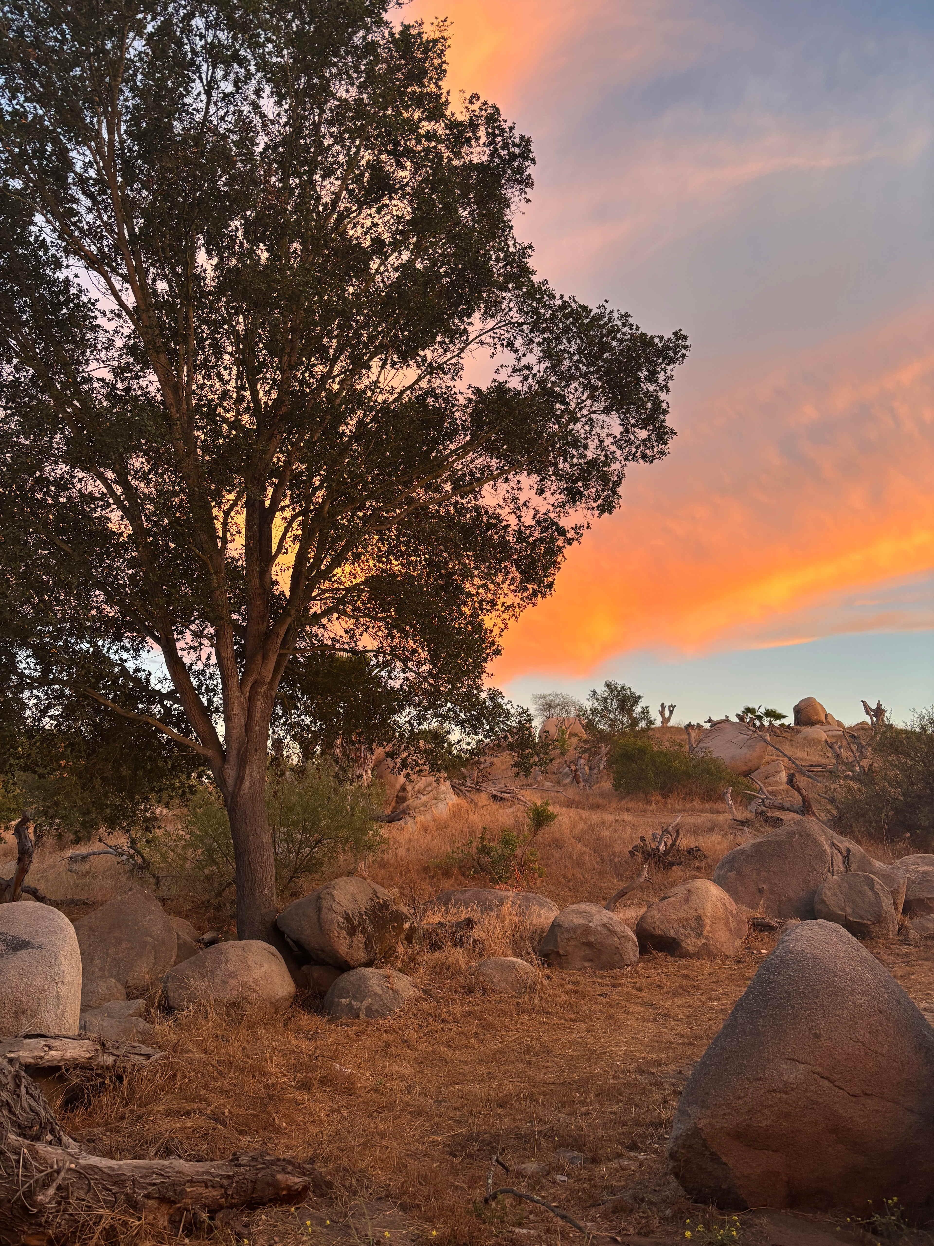 Splitrock Farm and Retreat