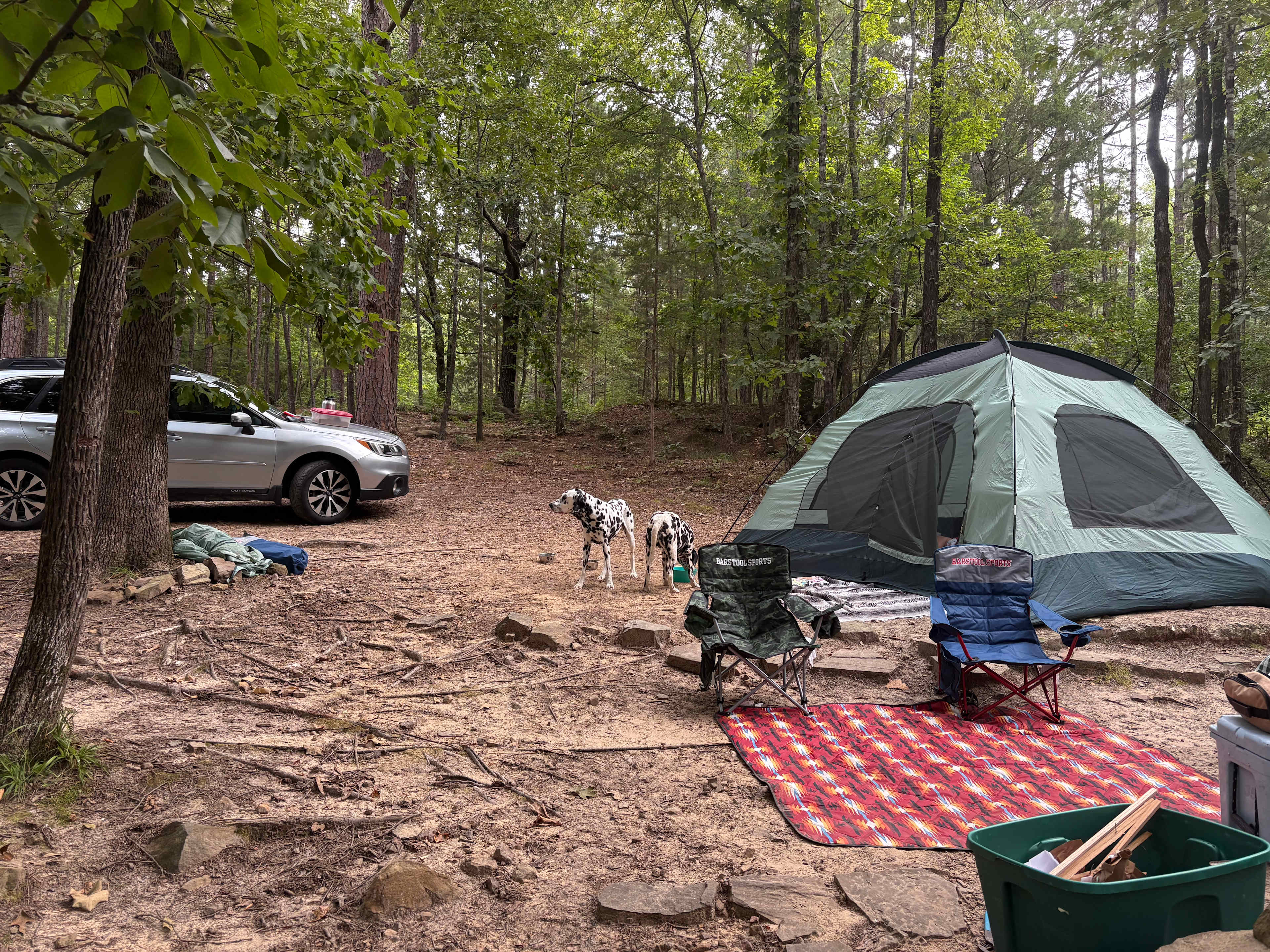 Bluegill Hill