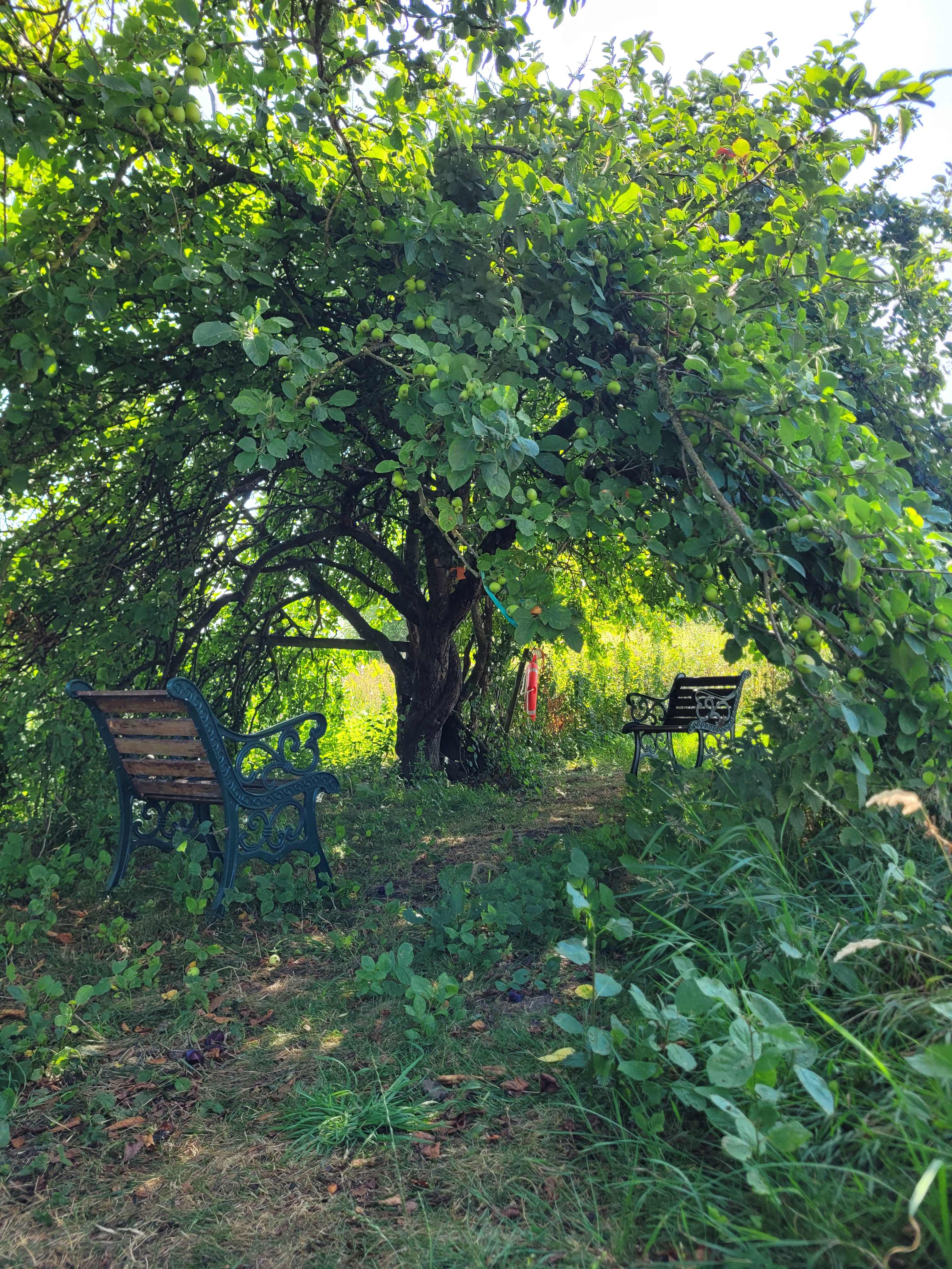 Riverside Restful Relaxing Campsite
