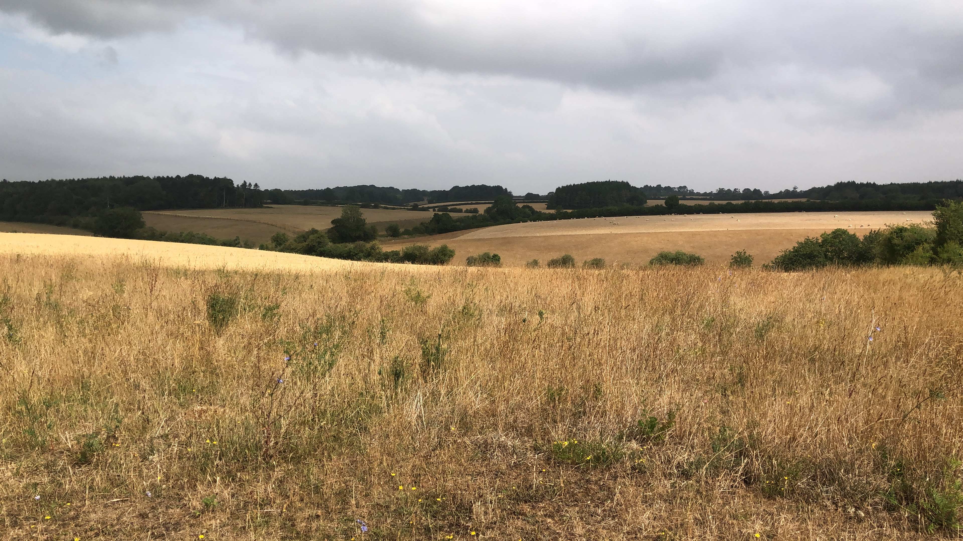 Abbey Home Farm