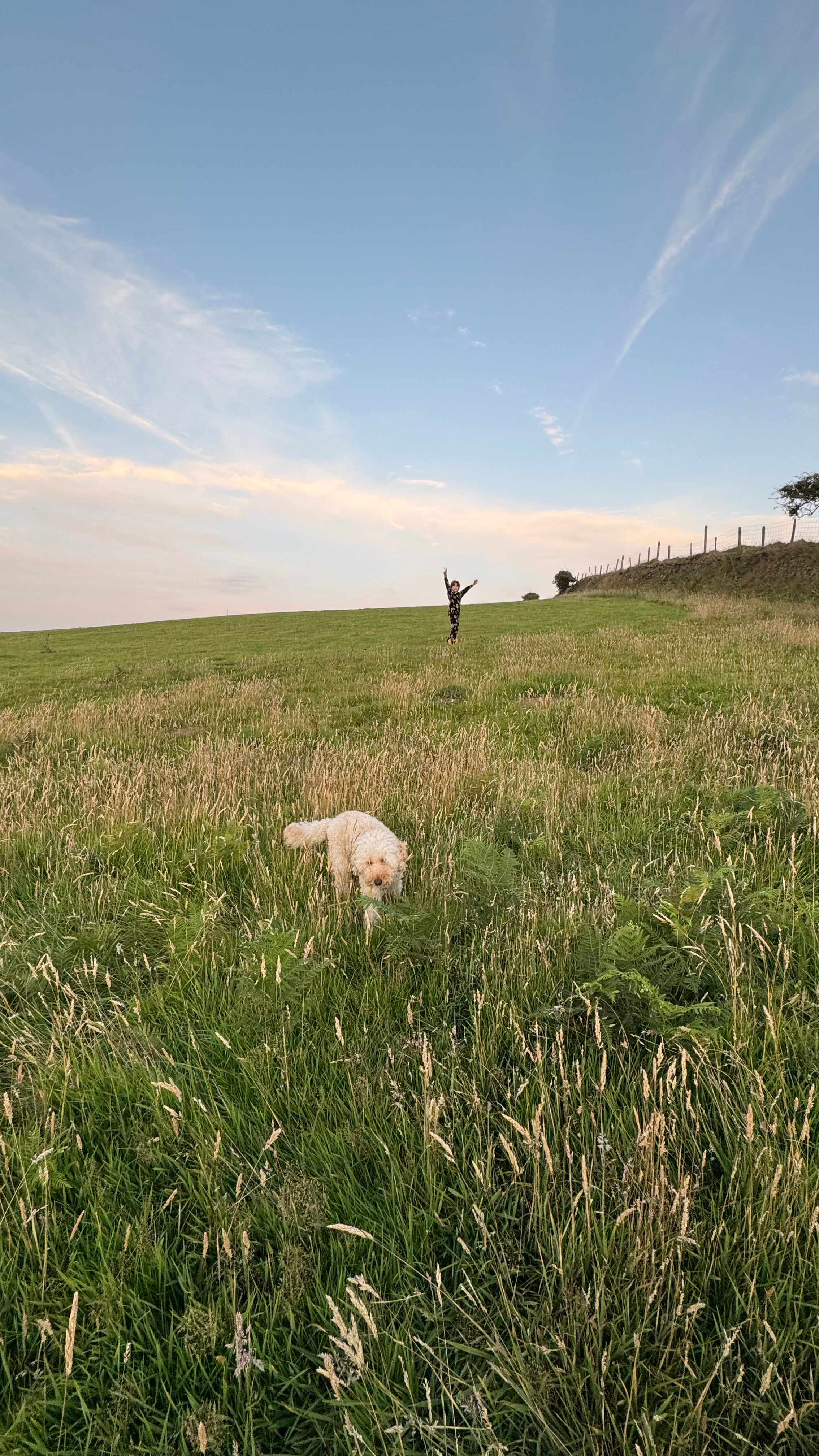 South Dean Camping