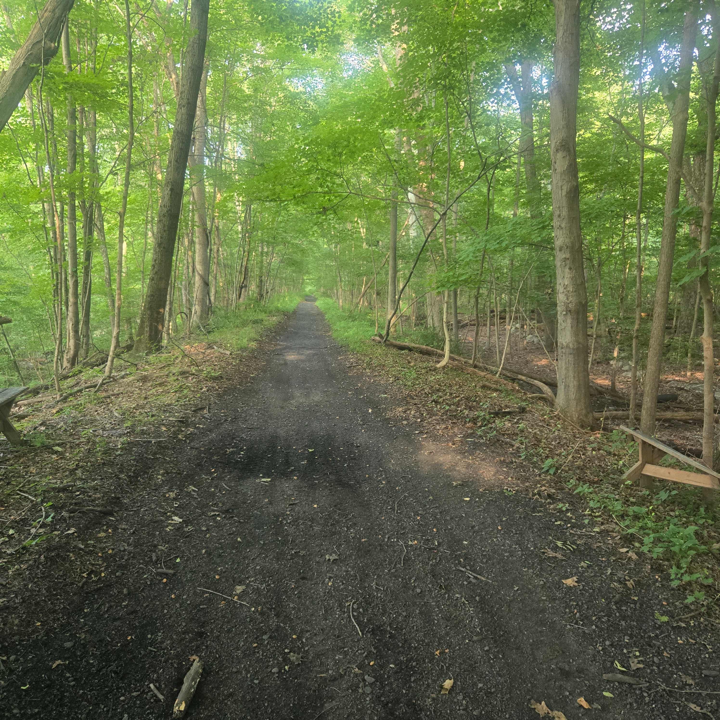 Trail nearby 