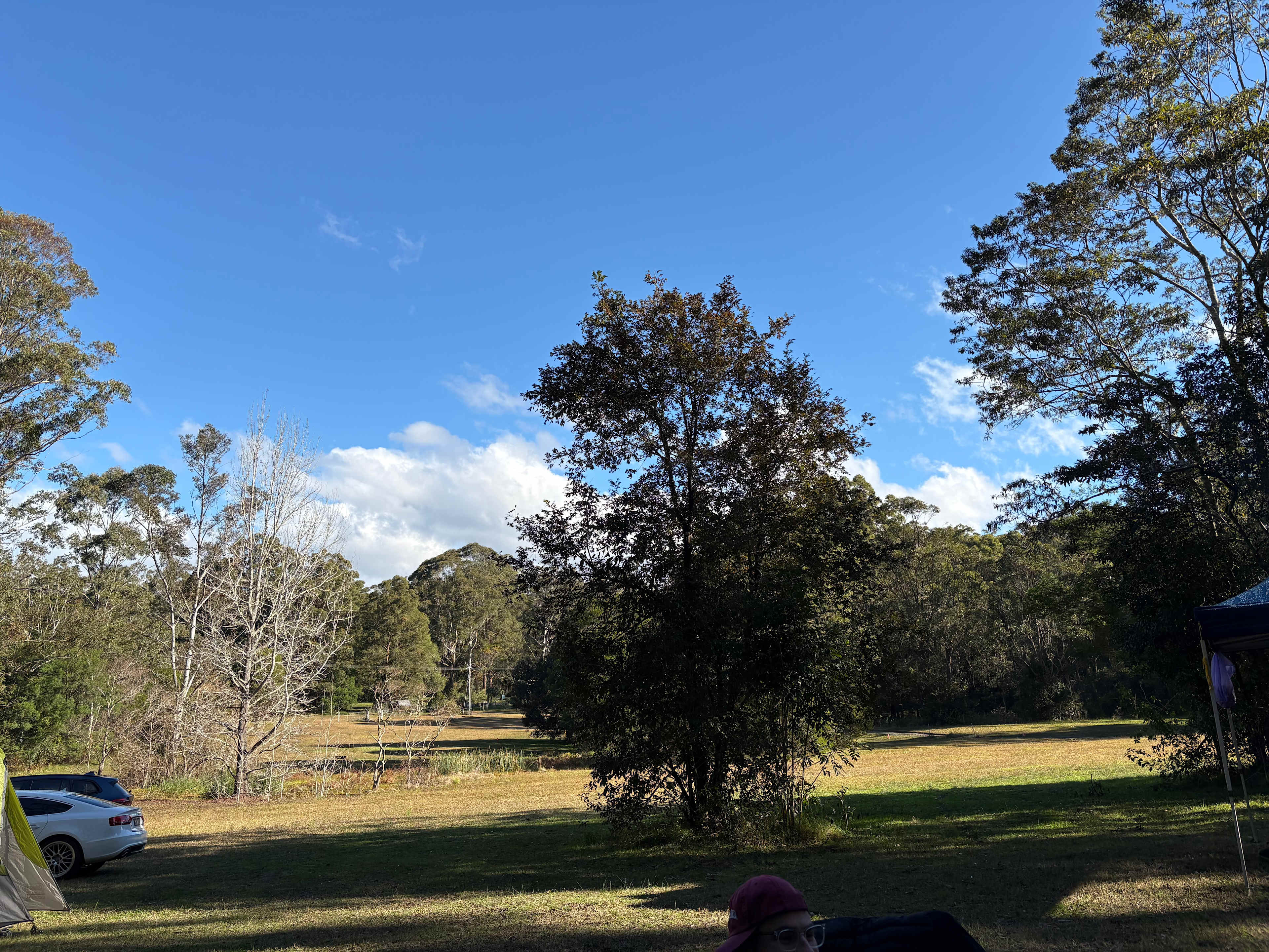 Bunyip's Camp