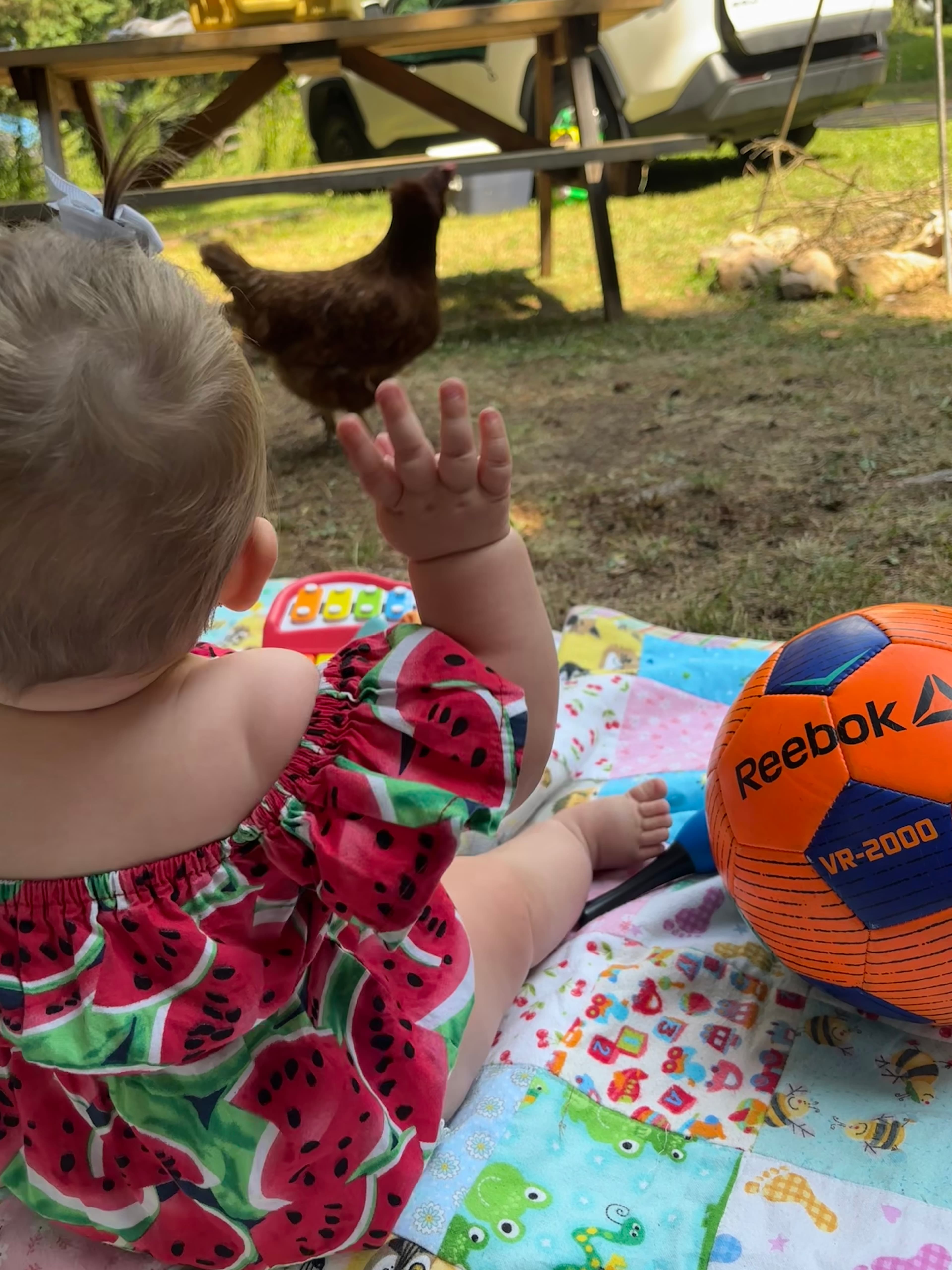 Burke’s Barnyard - Farm Camping