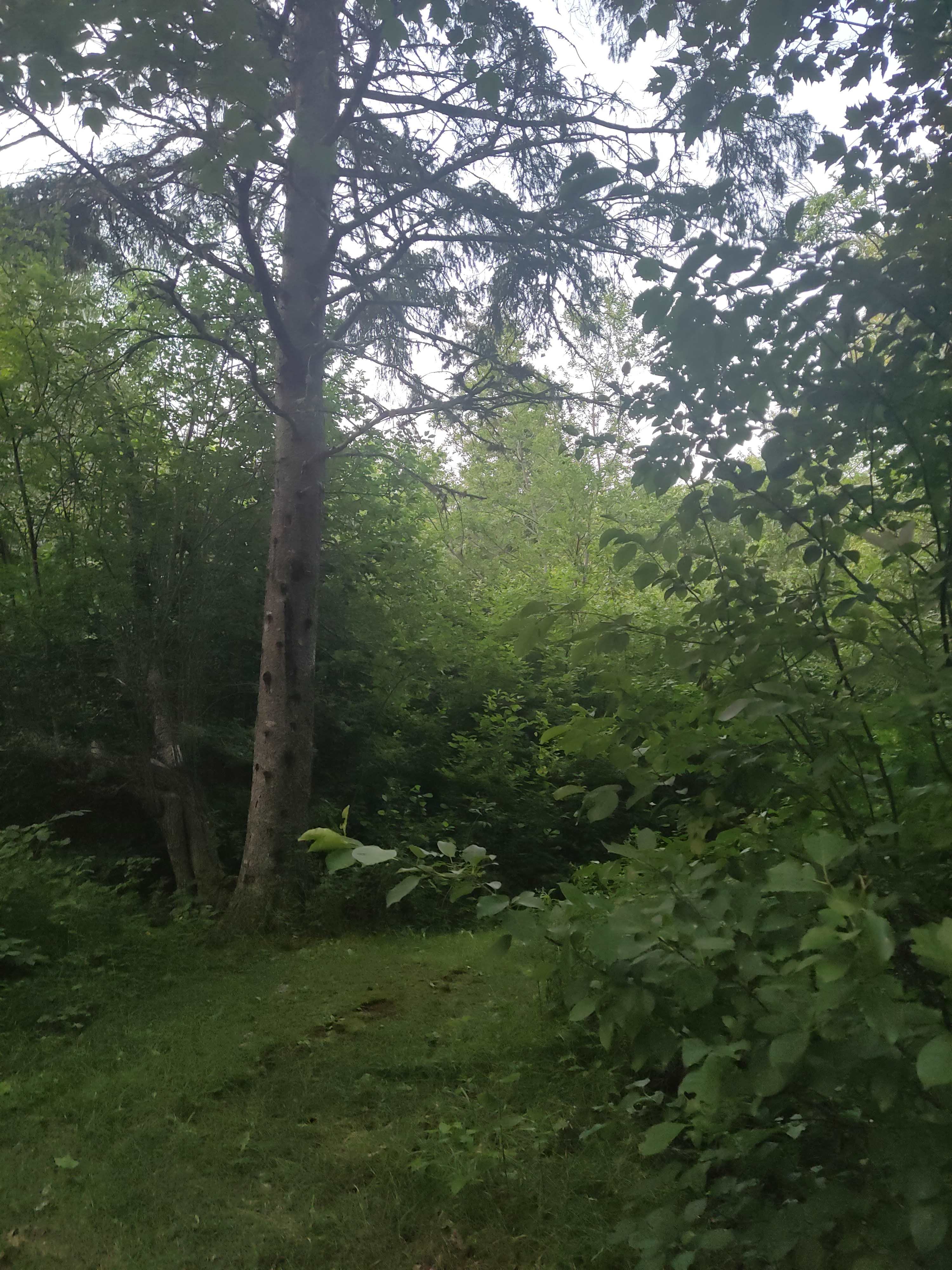 Surrounded by nature