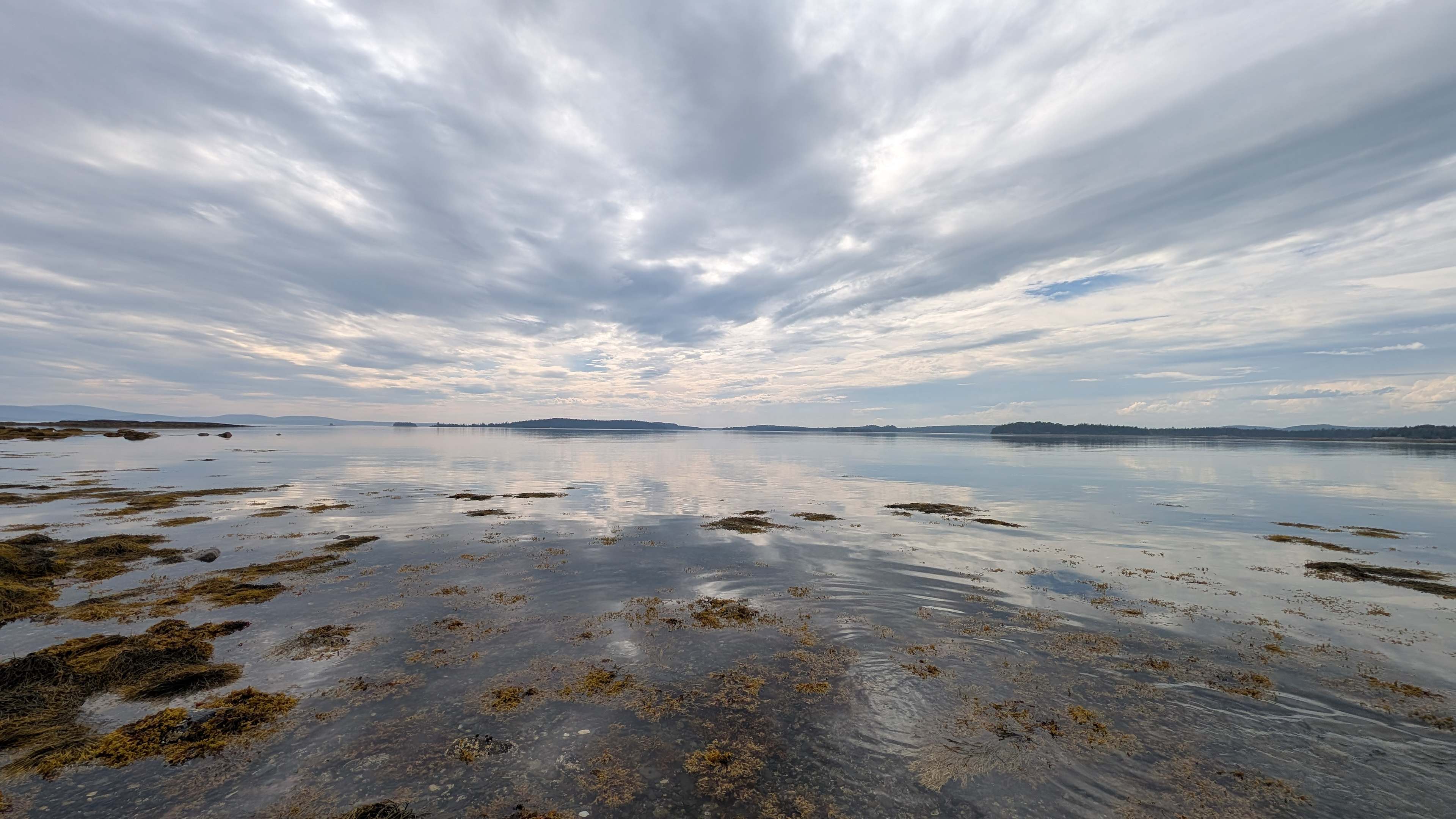 Low tide