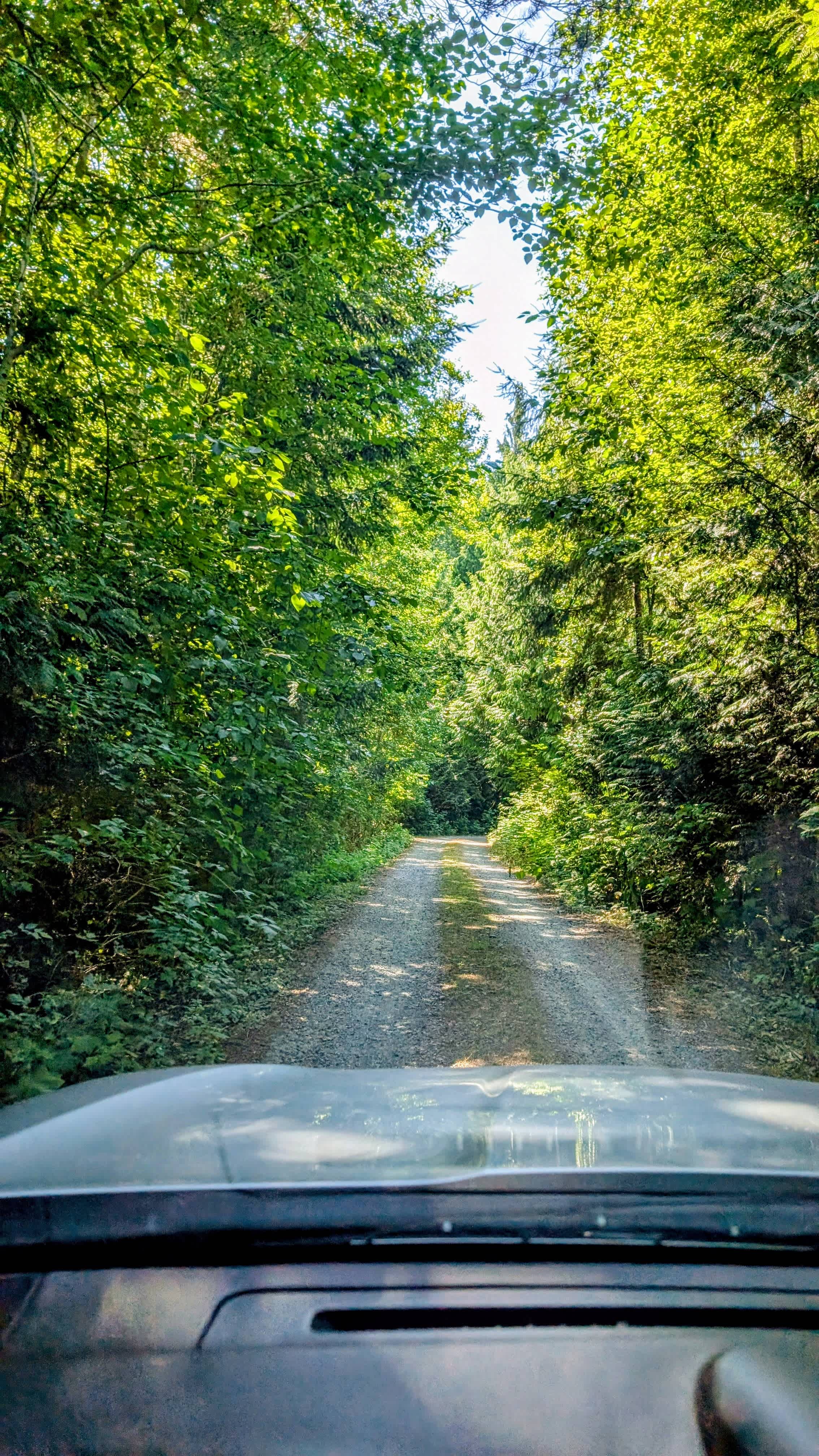 Driveway leading up to the property