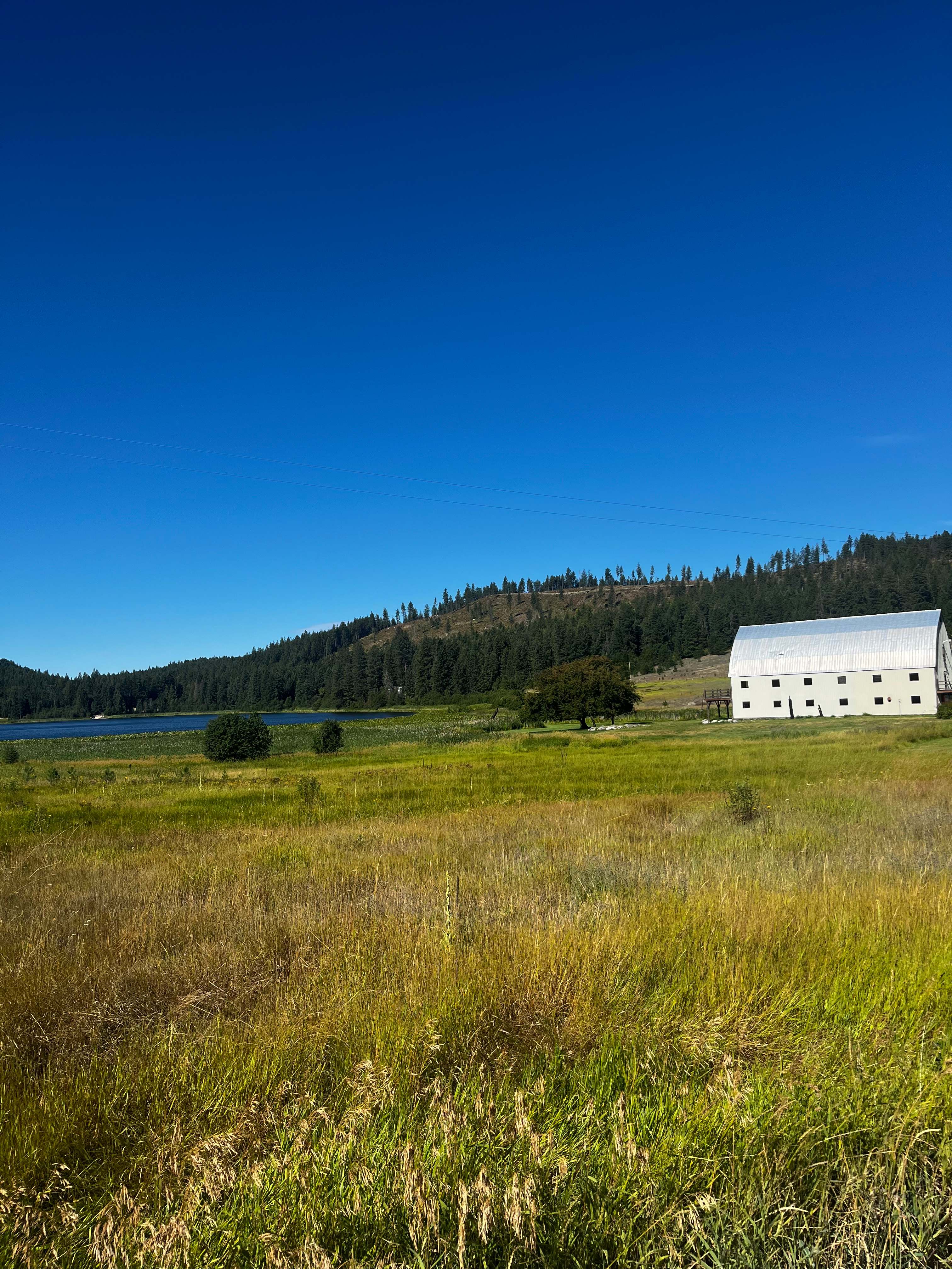 Phoenix Rising Ranch