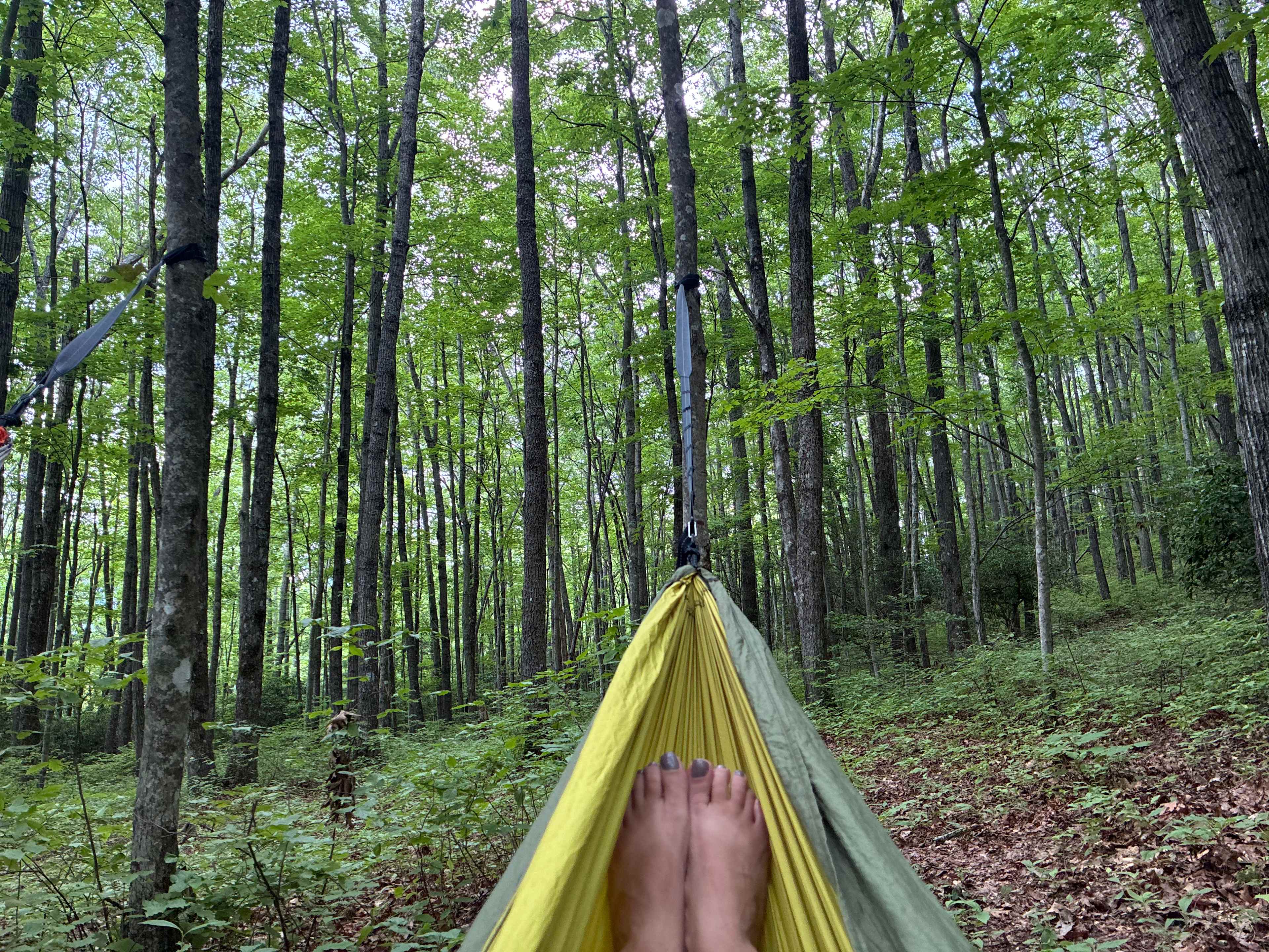Indian Creek Rental's Mountain Camp