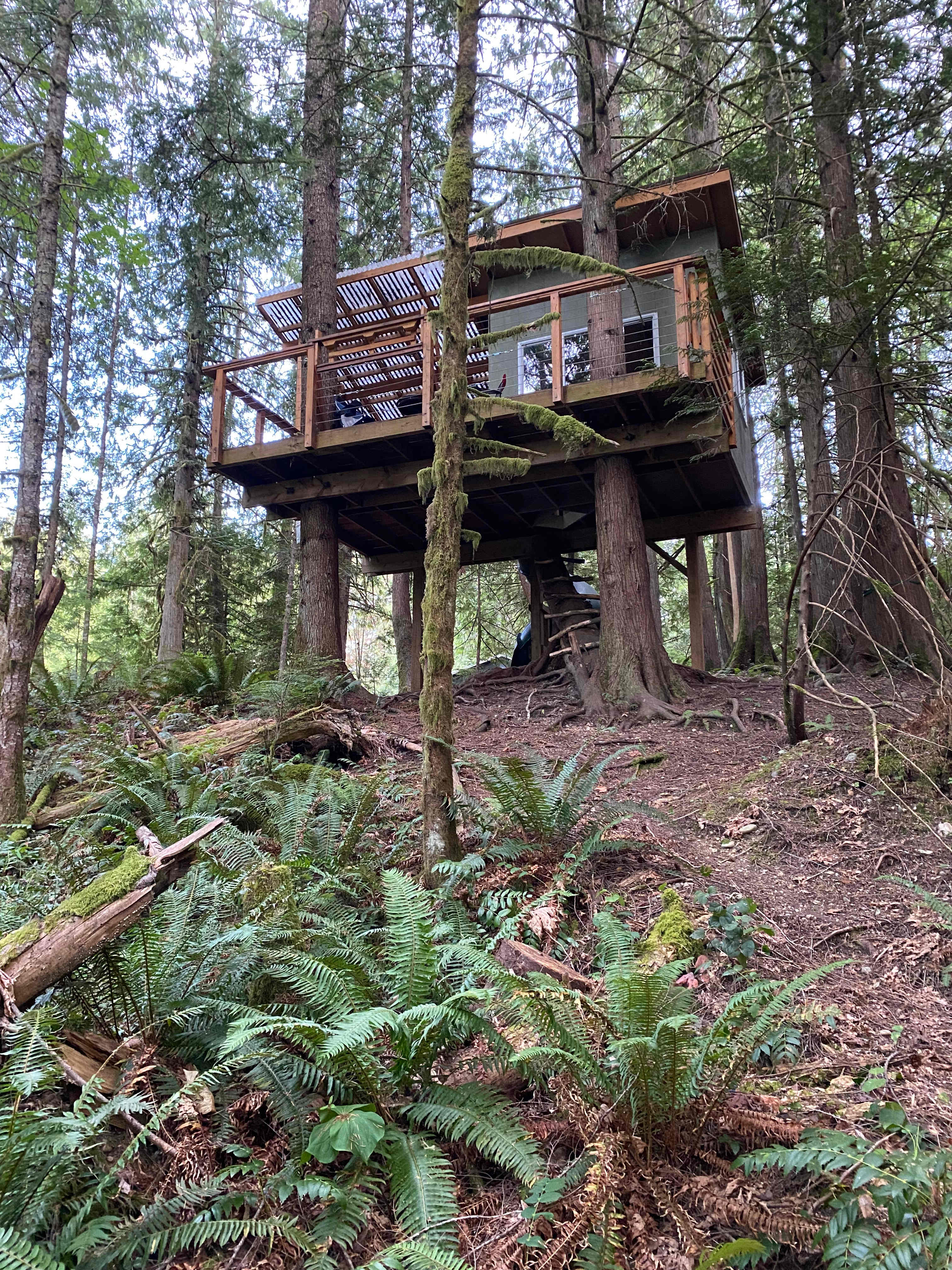 The amazing treehouse!