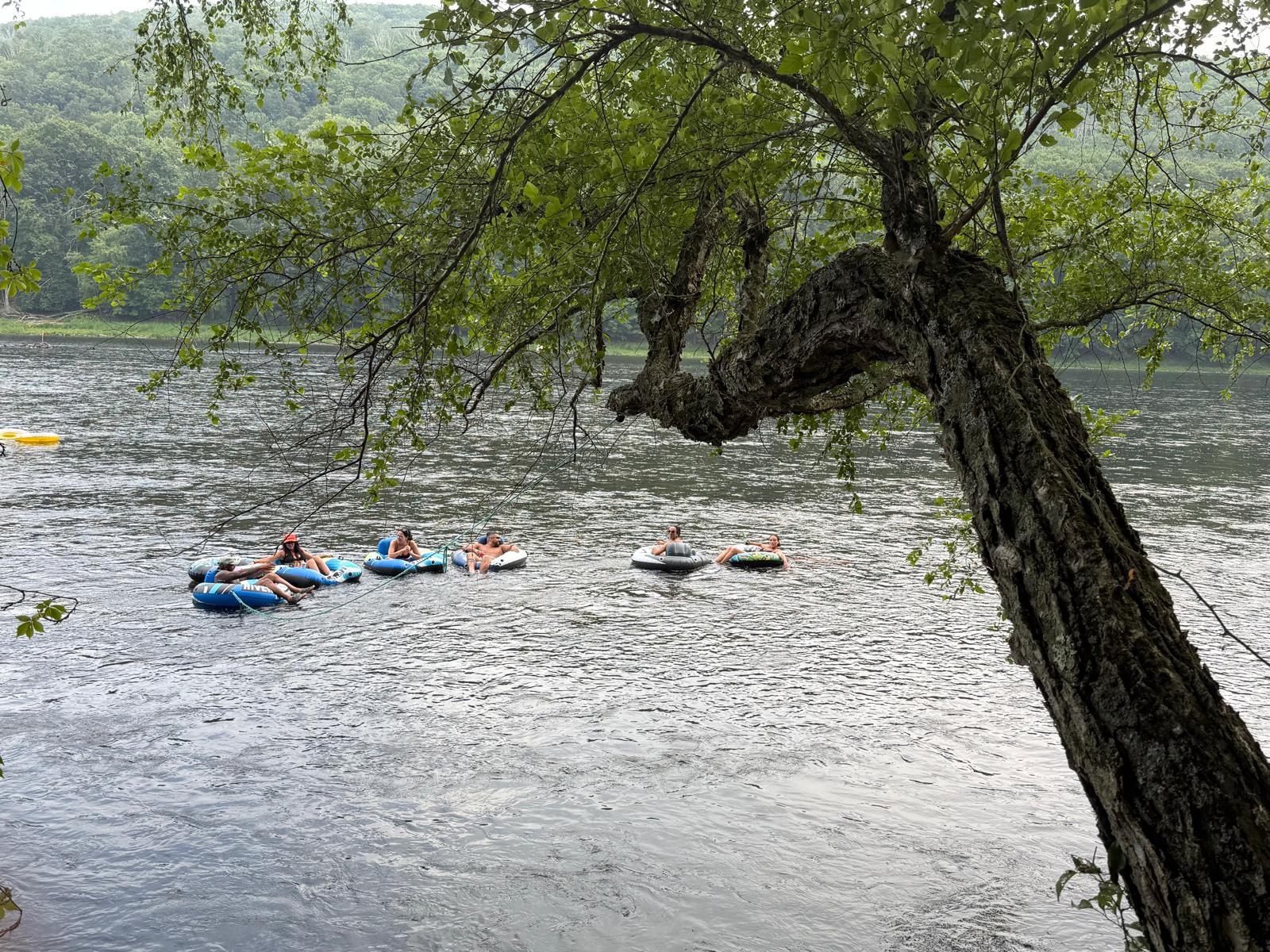 The River's Edge