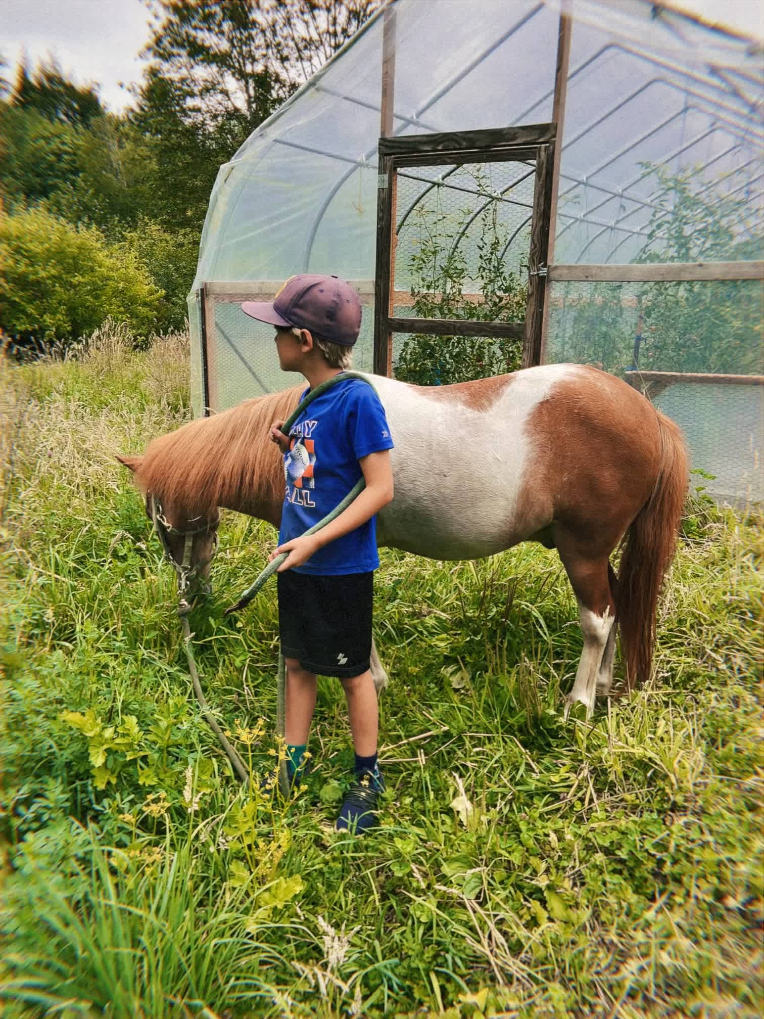 Hawthorn Farm