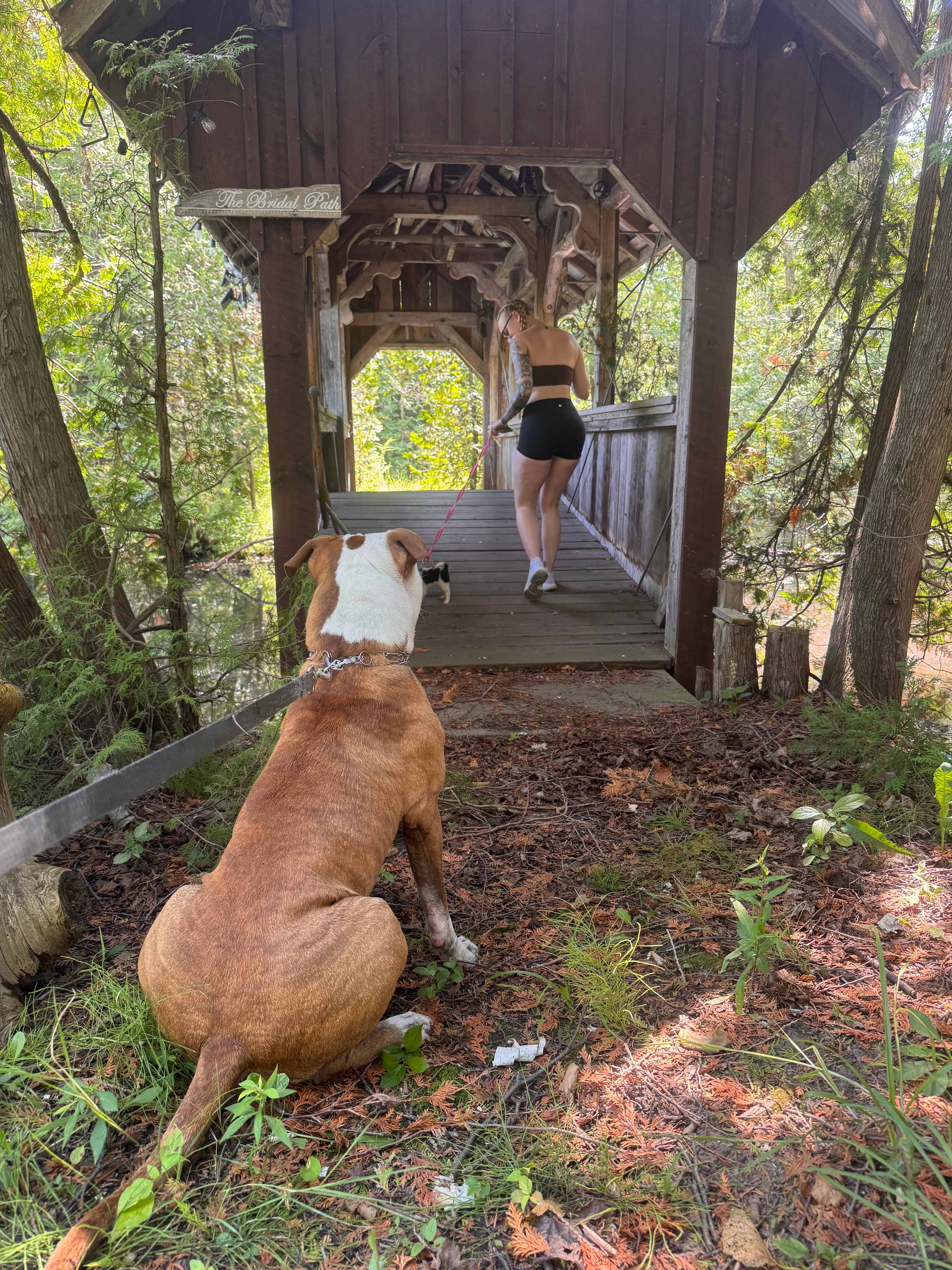 1/2 Bridges